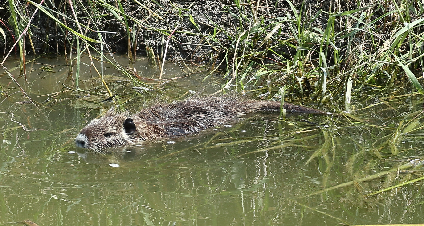 A spasso(in bici) con la M6.