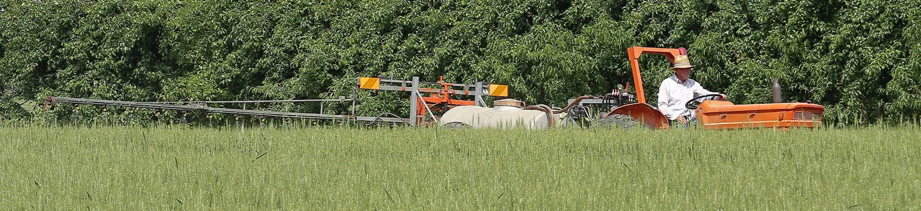 A spasso(in bici) con la M6.