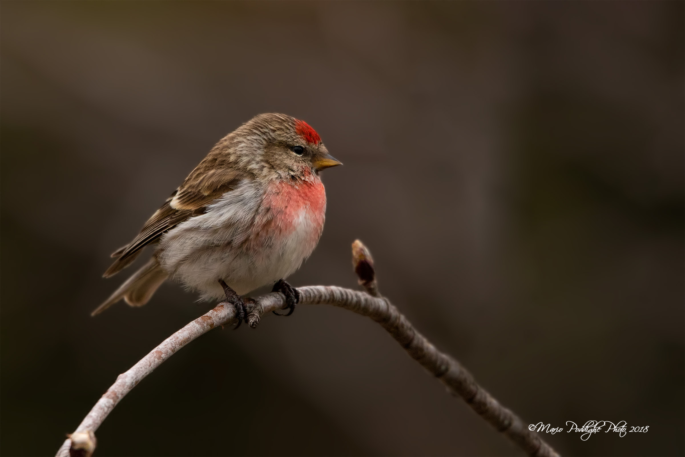 un' incontro gradito