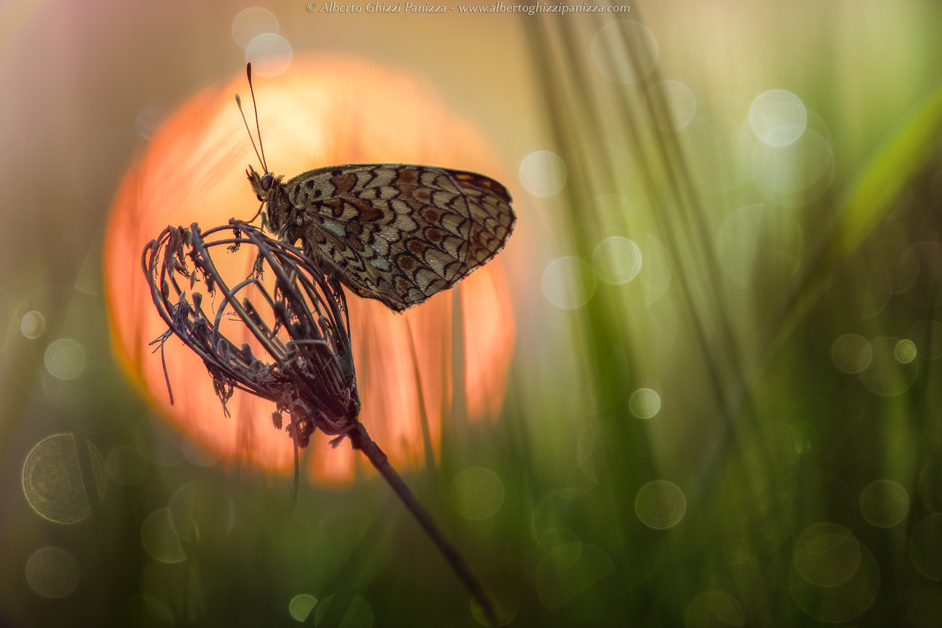 Tra le luci di un nuovo giorno