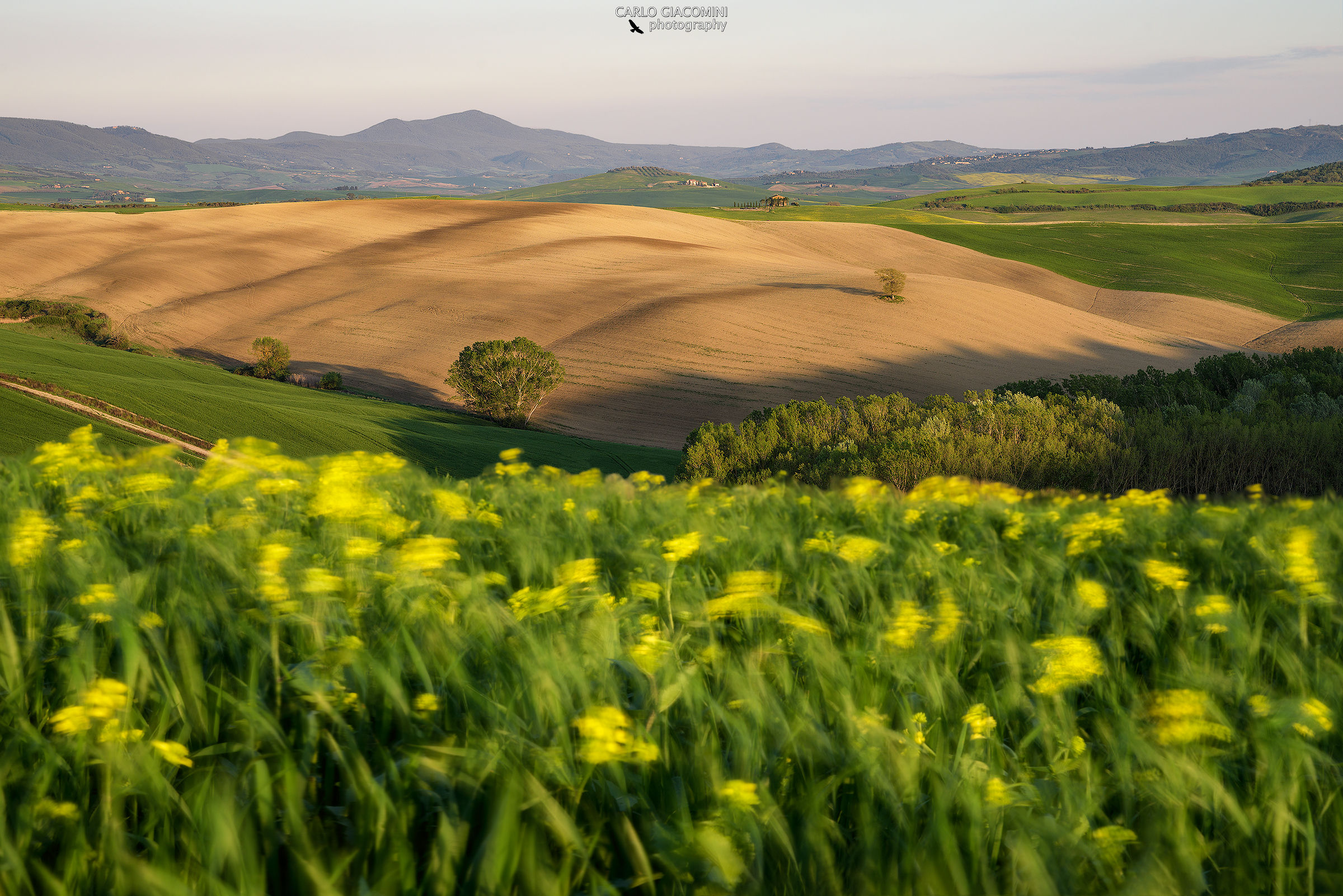 The Breath of Spring