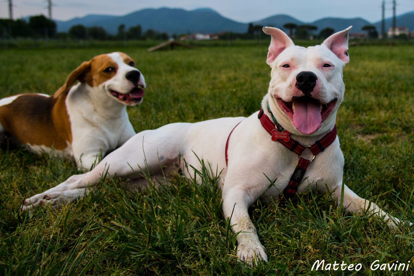 The smile of those who want to conquer Gotham