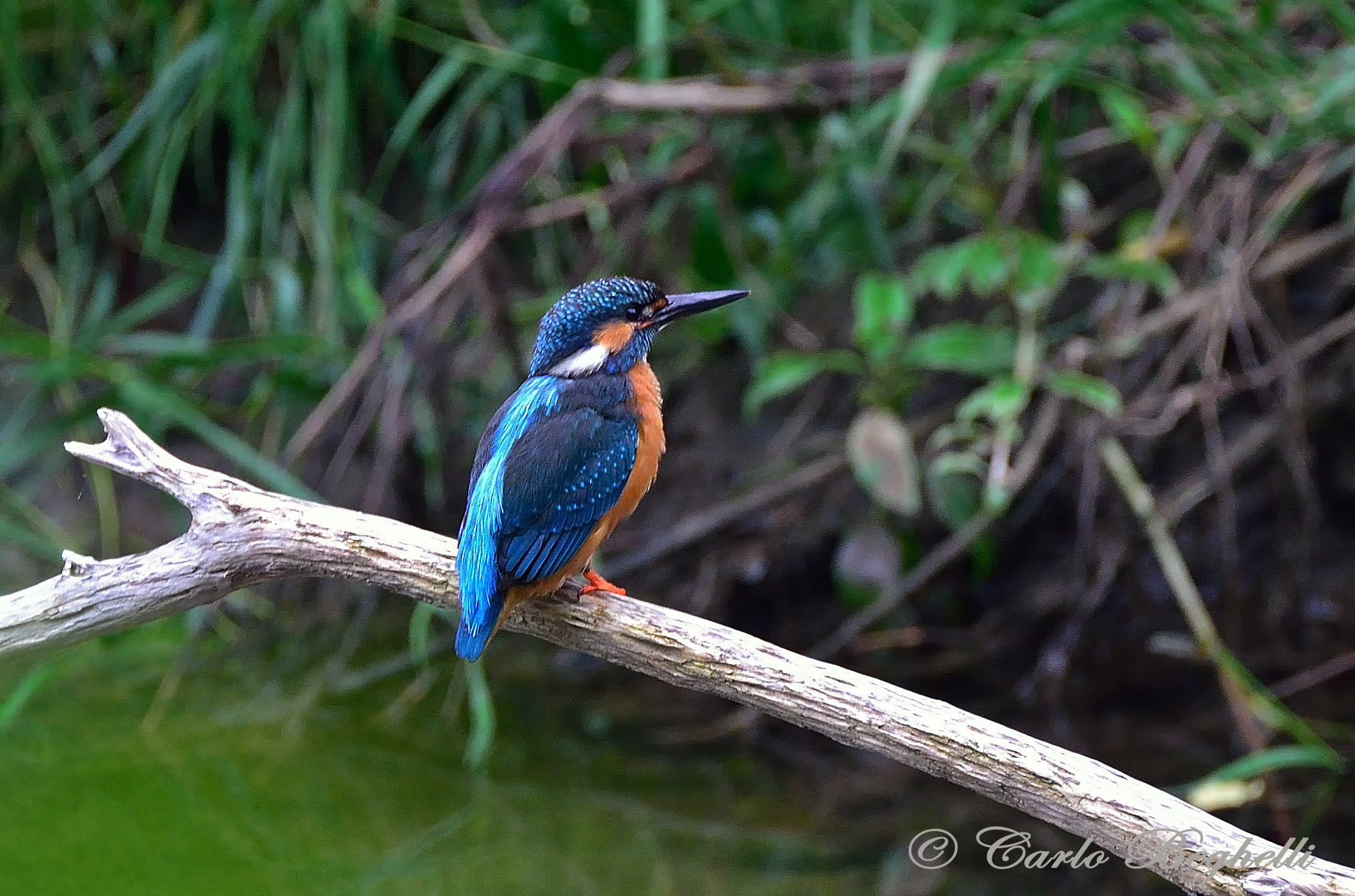 The Master of the stream