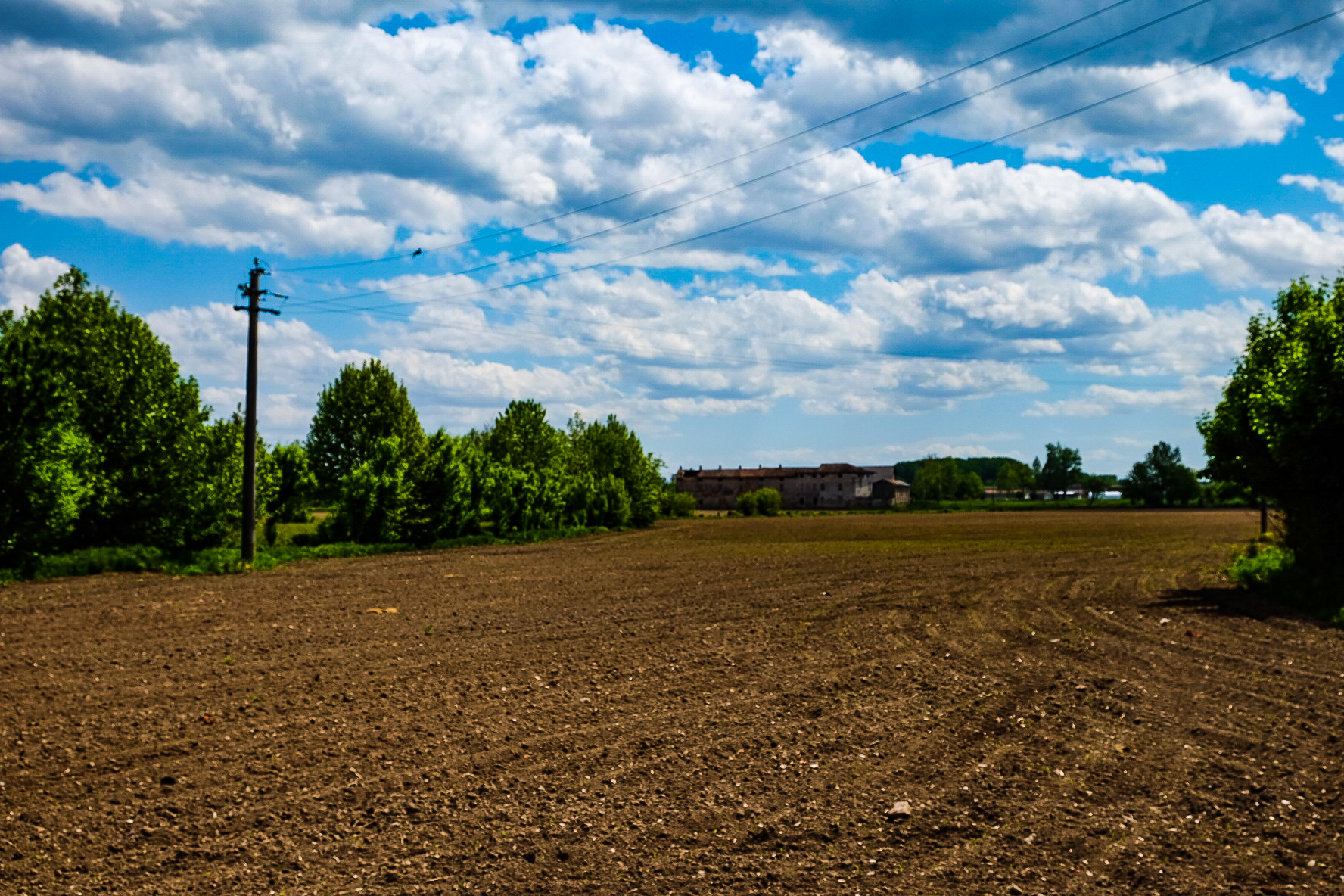 Waiting for the sowing...