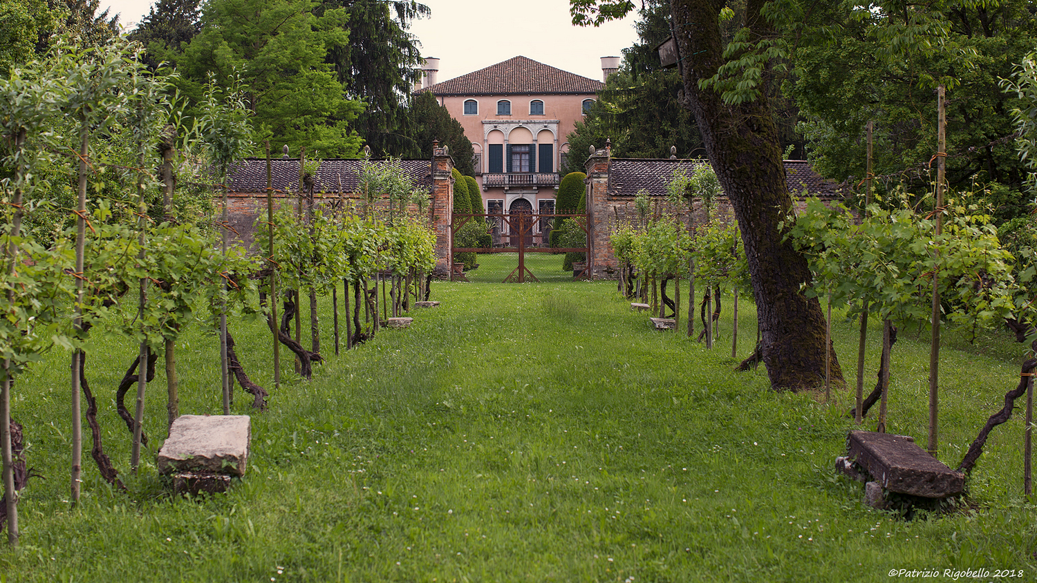 Ca ' Dolfin markings in the distance
