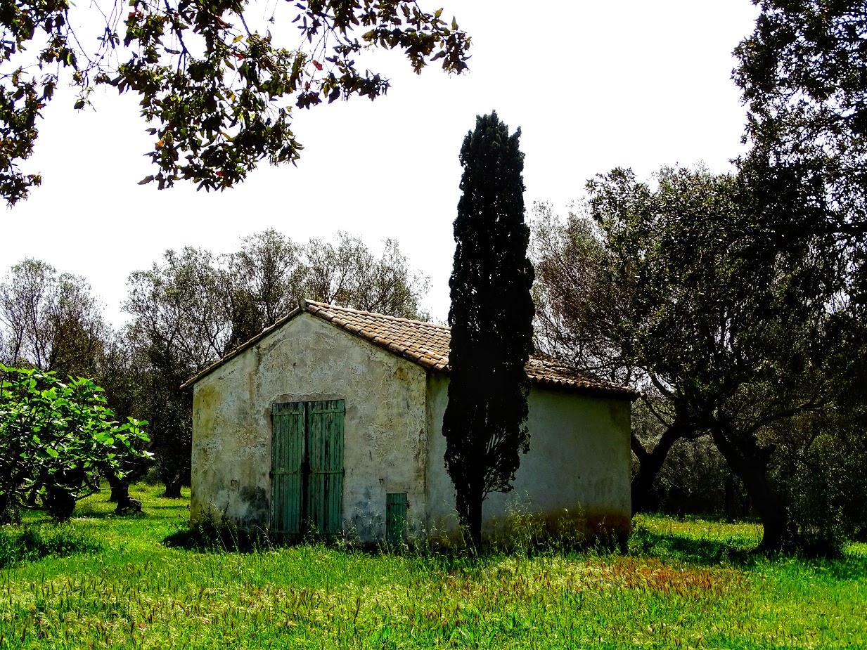 Solitary House on the island of Porquerolles