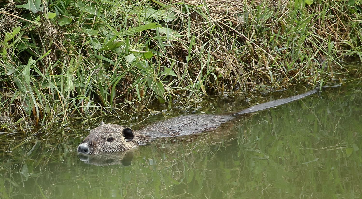 A spasso(in bici) con la M6.