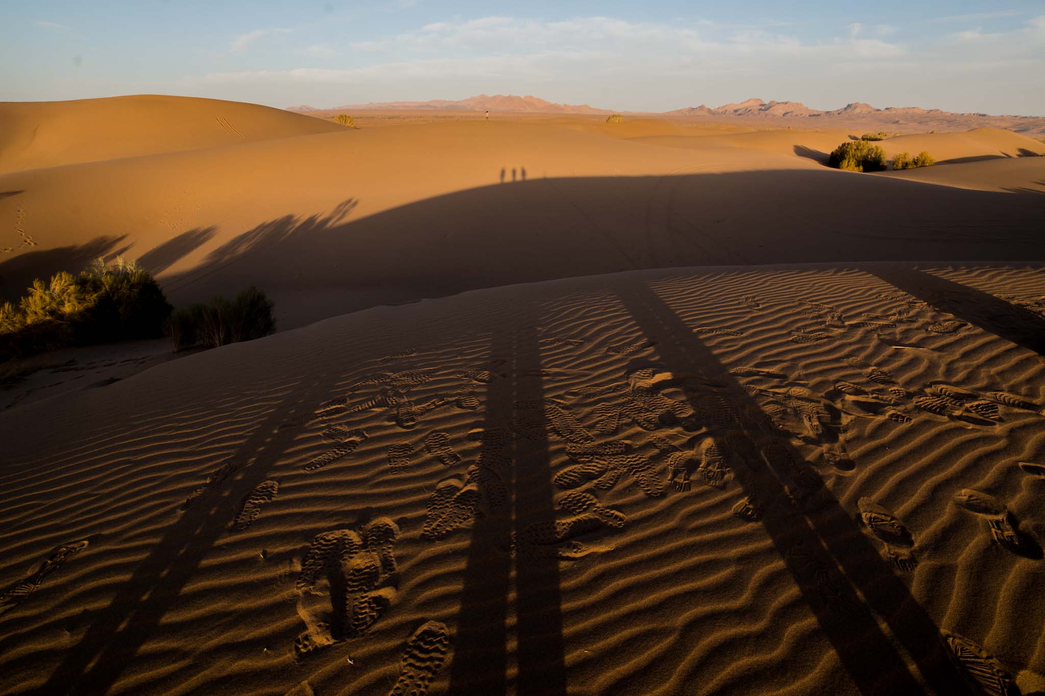 Shadows in the Desert
