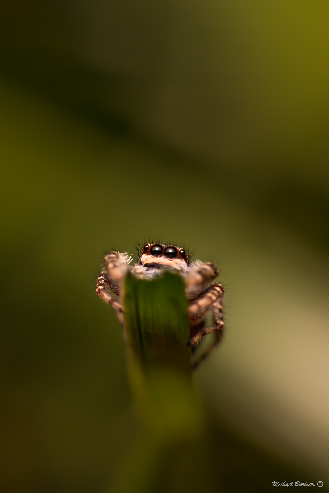 You just have to jump...