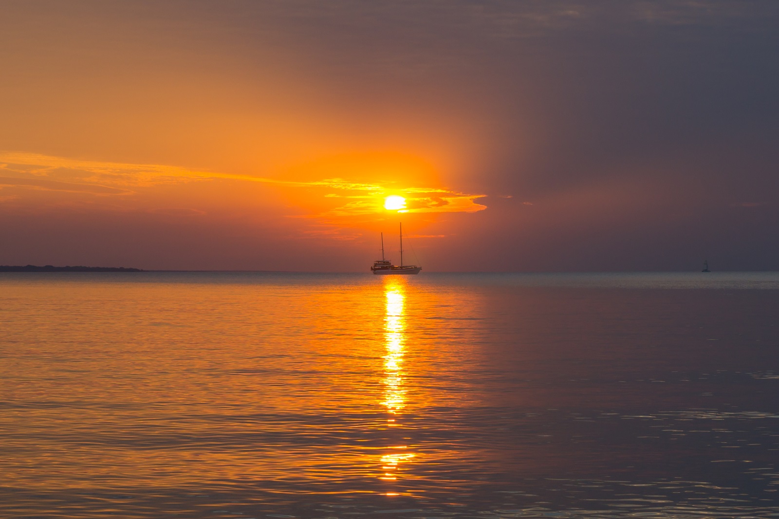 Untitled Photo