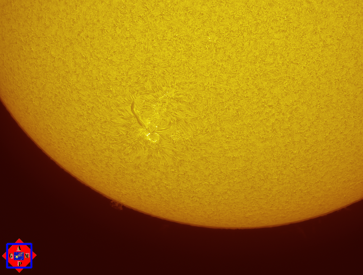 Facole and solar prominences in H-alpha