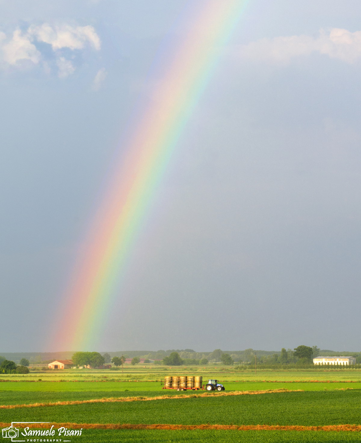 Beauty-Farm (pardon the pun)