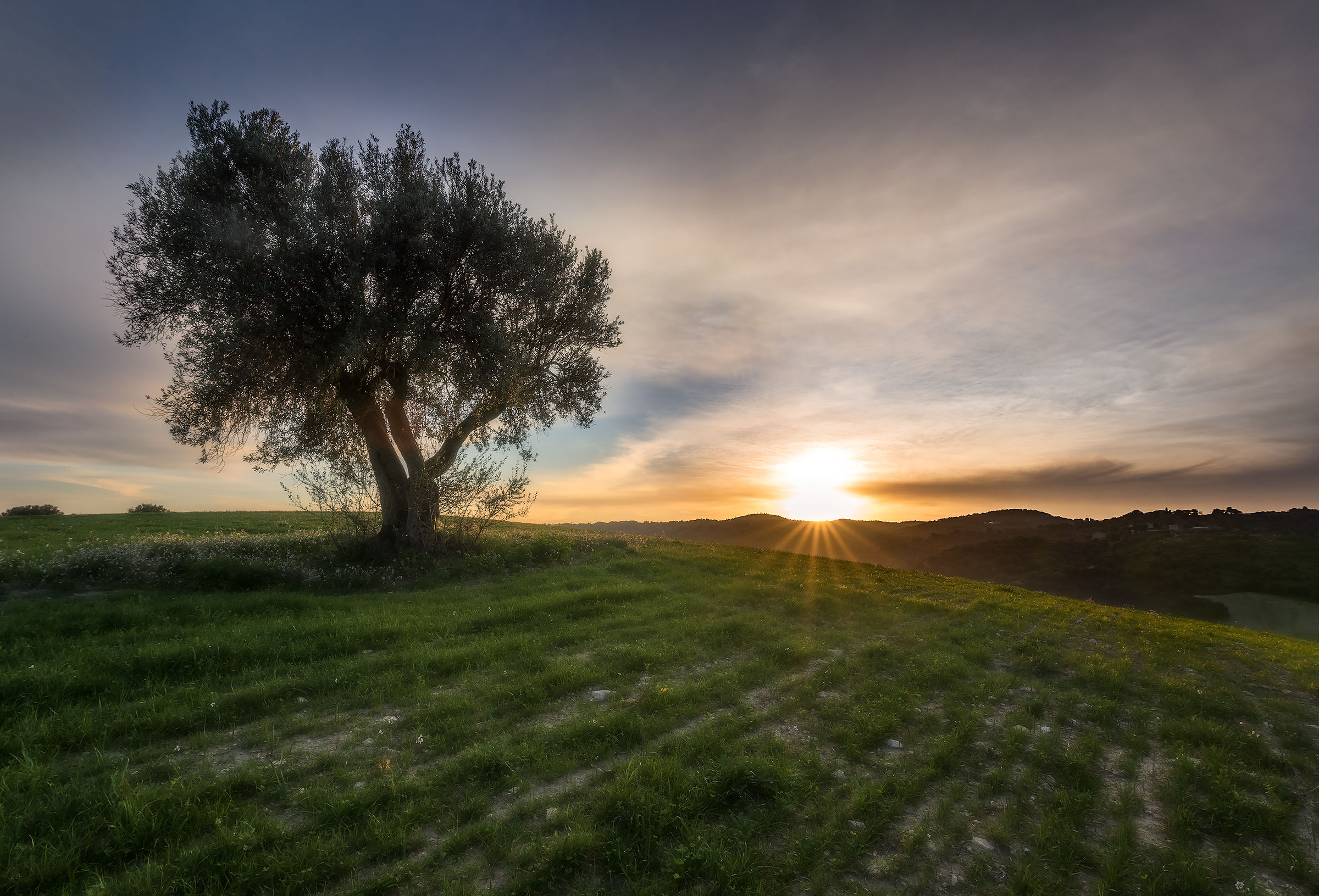 Al cospetto del sole calante