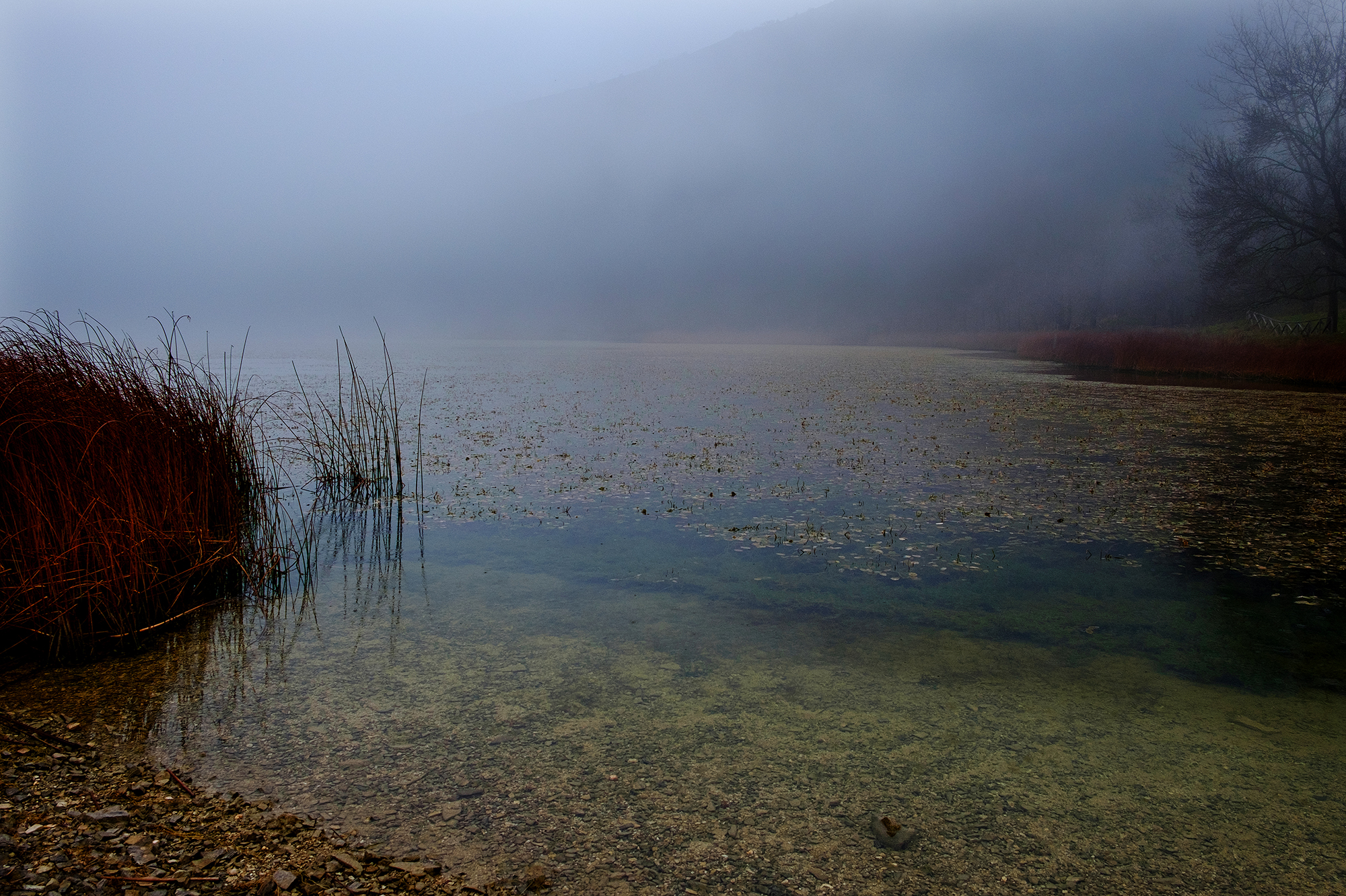 Biccari. Lago Pescara.