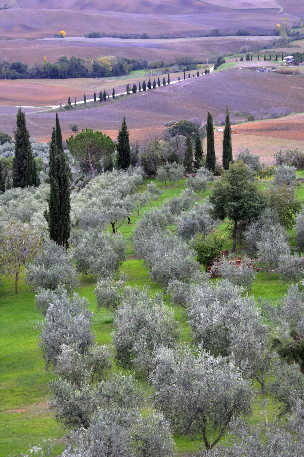 La Val D'Orcia