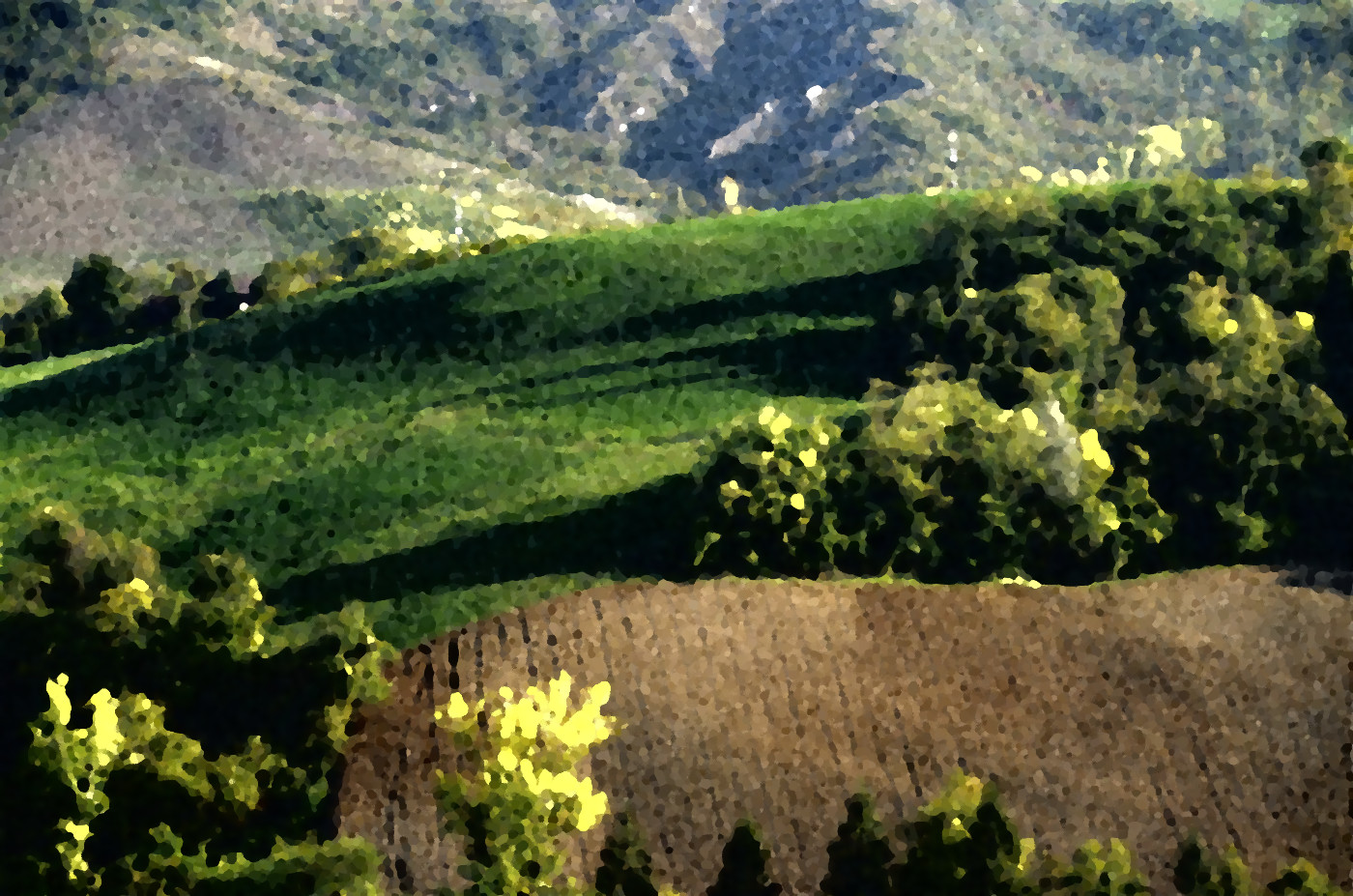 The hills of the NIT