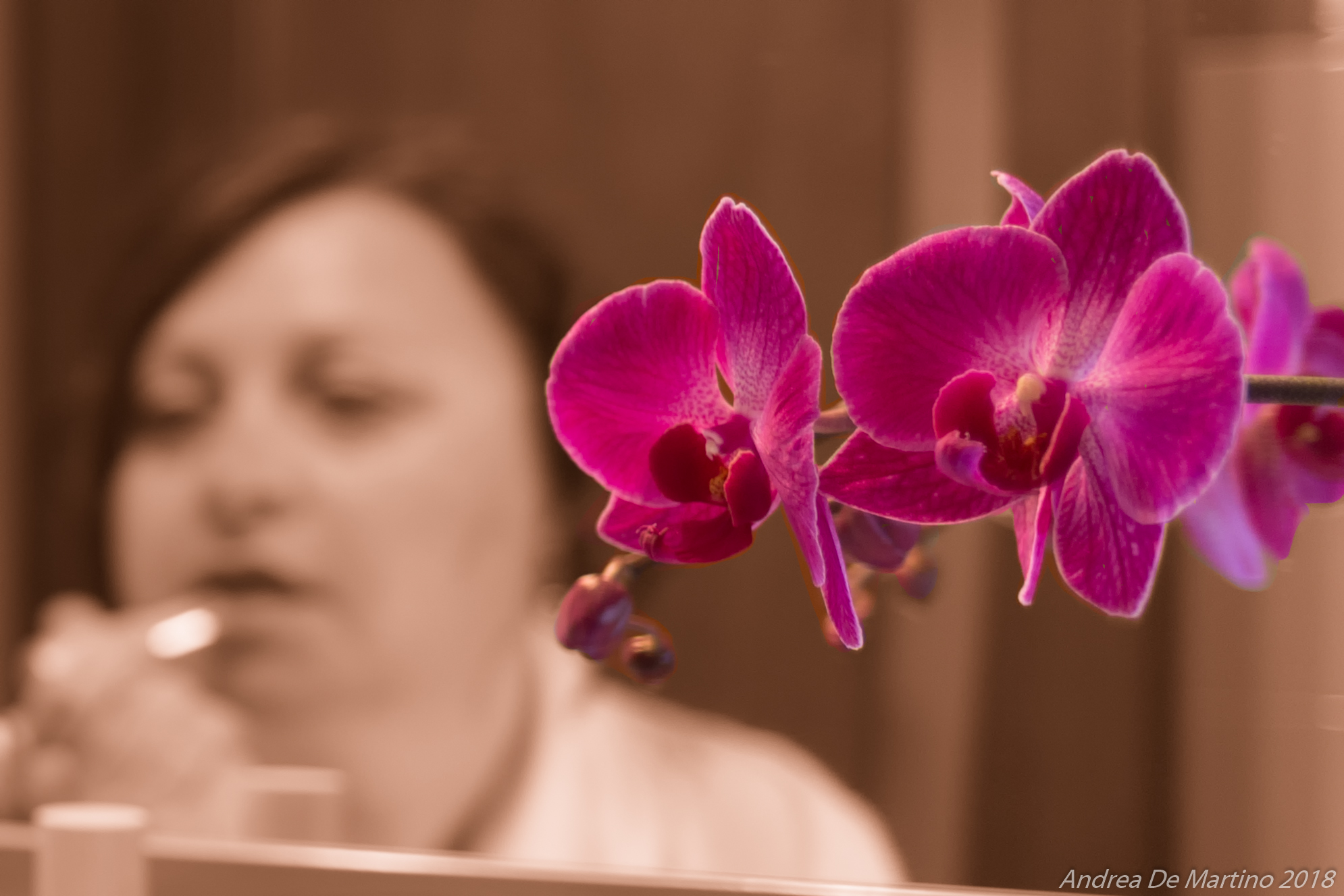 Orchids & Lipstick