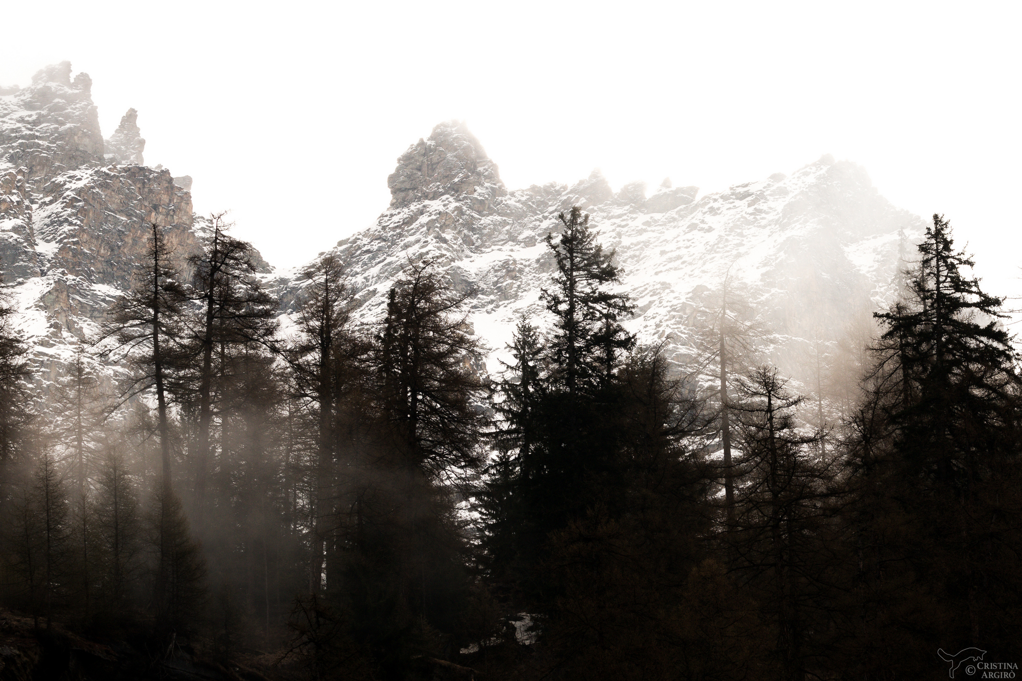 Una nebbia avvolgente