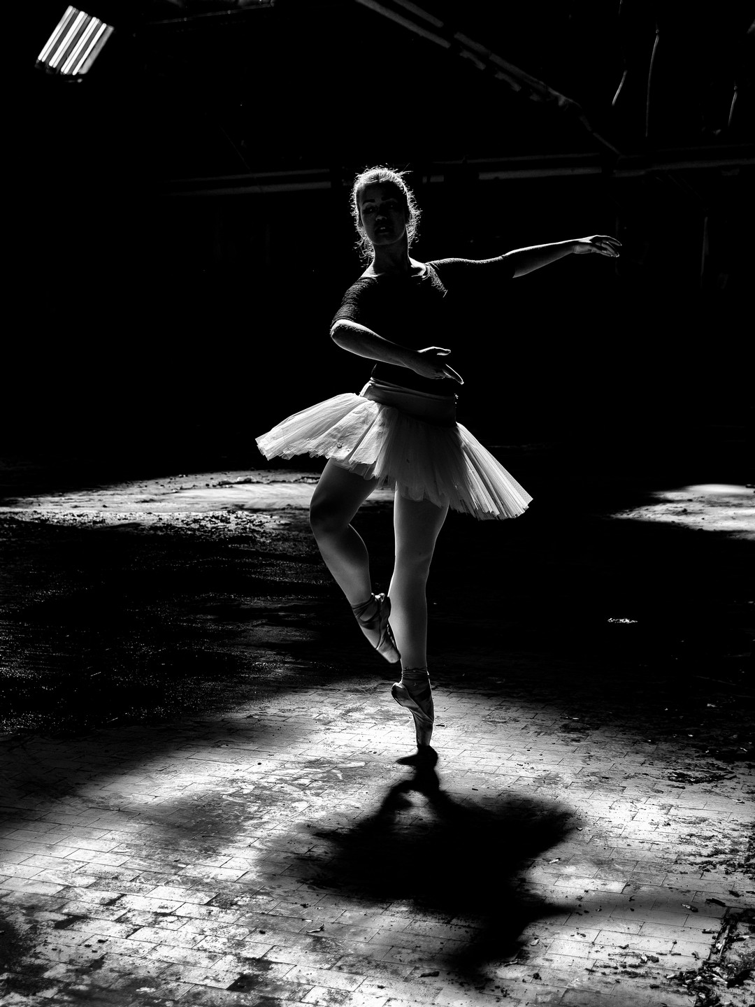 il magico mondo della danza