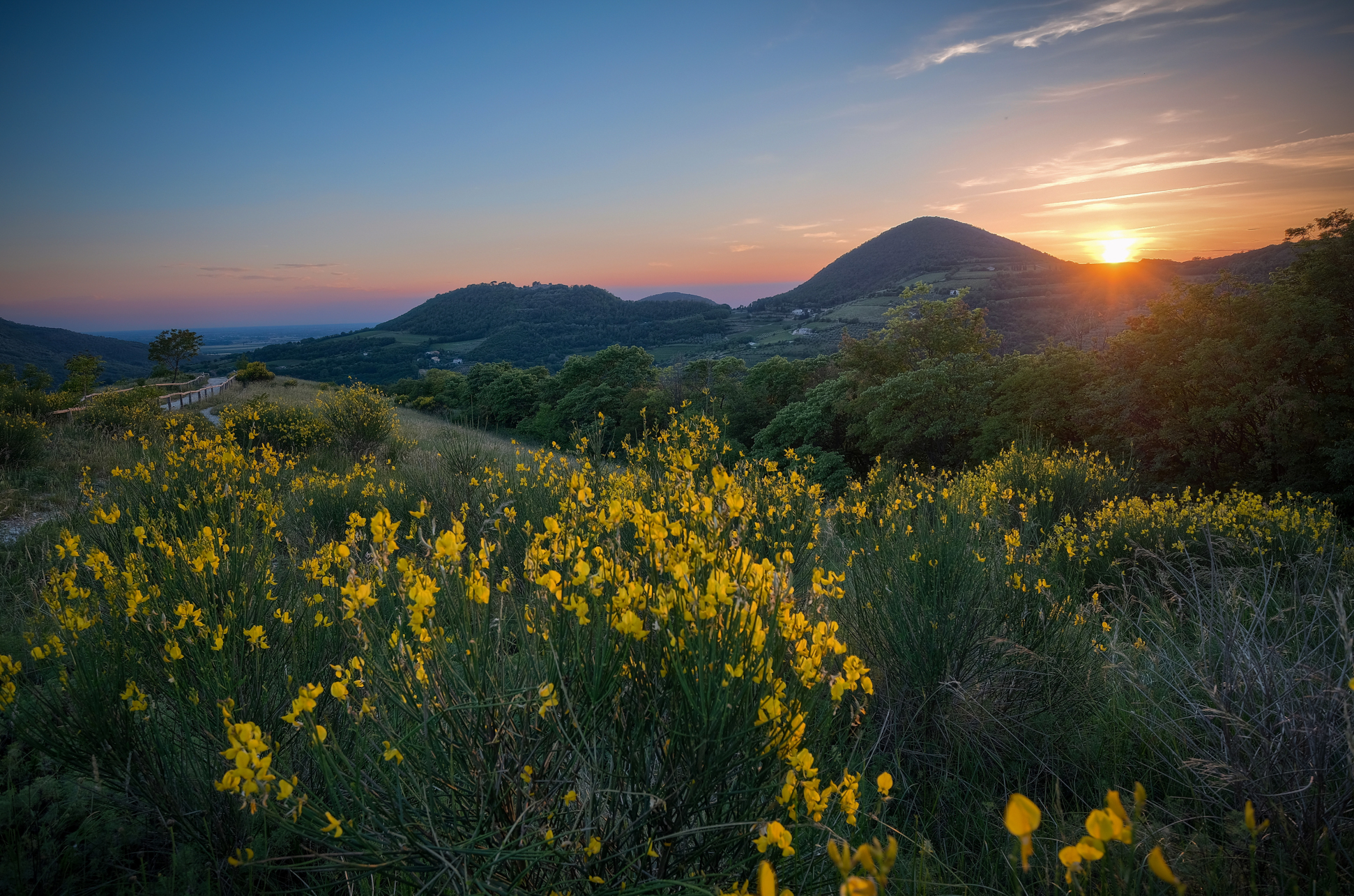 The Breeze at sunset