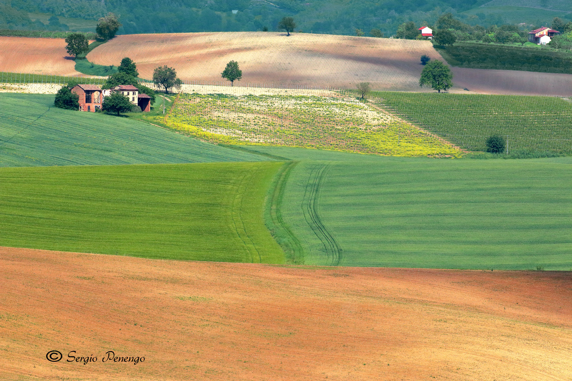 "CAMPAGNA del MONFERRATO"