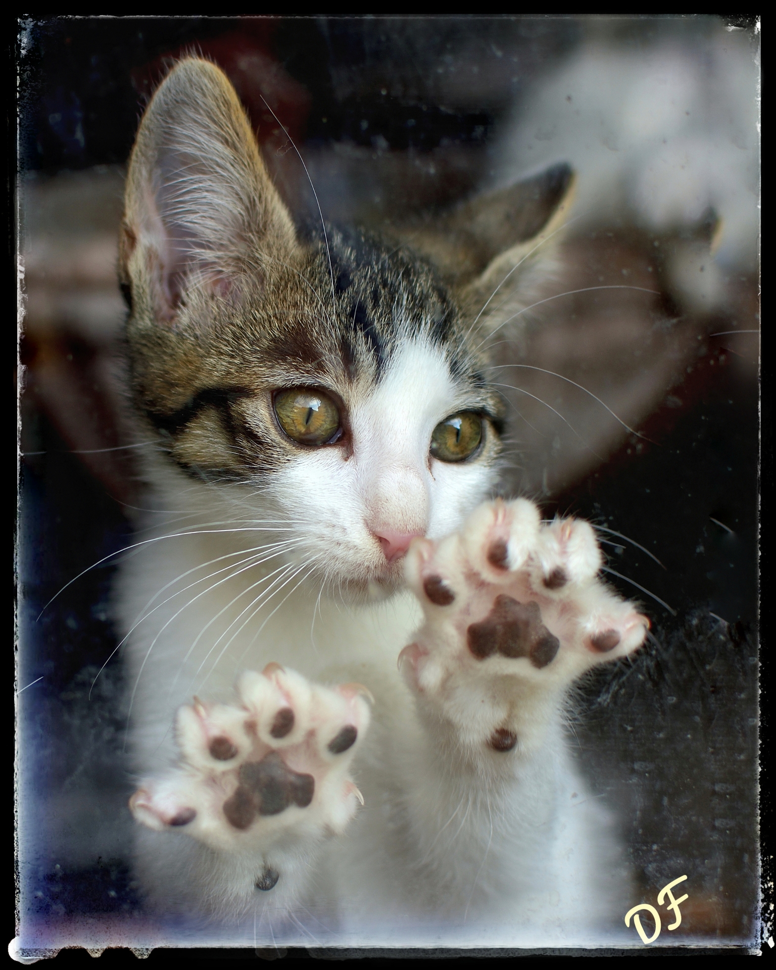 Waiting for His New Parents