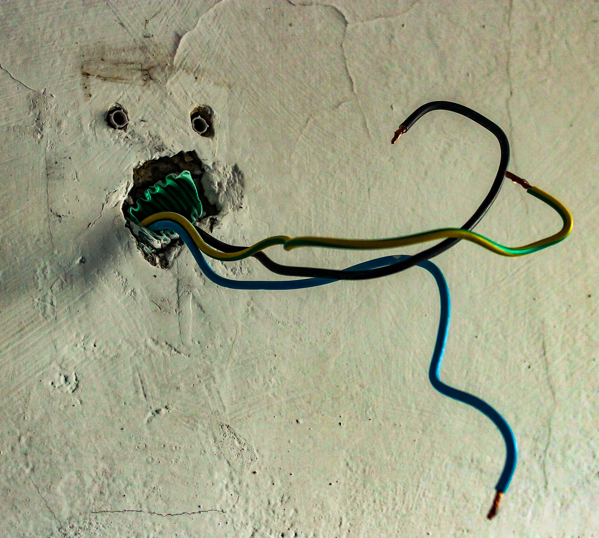 Orribili creature casalinghe