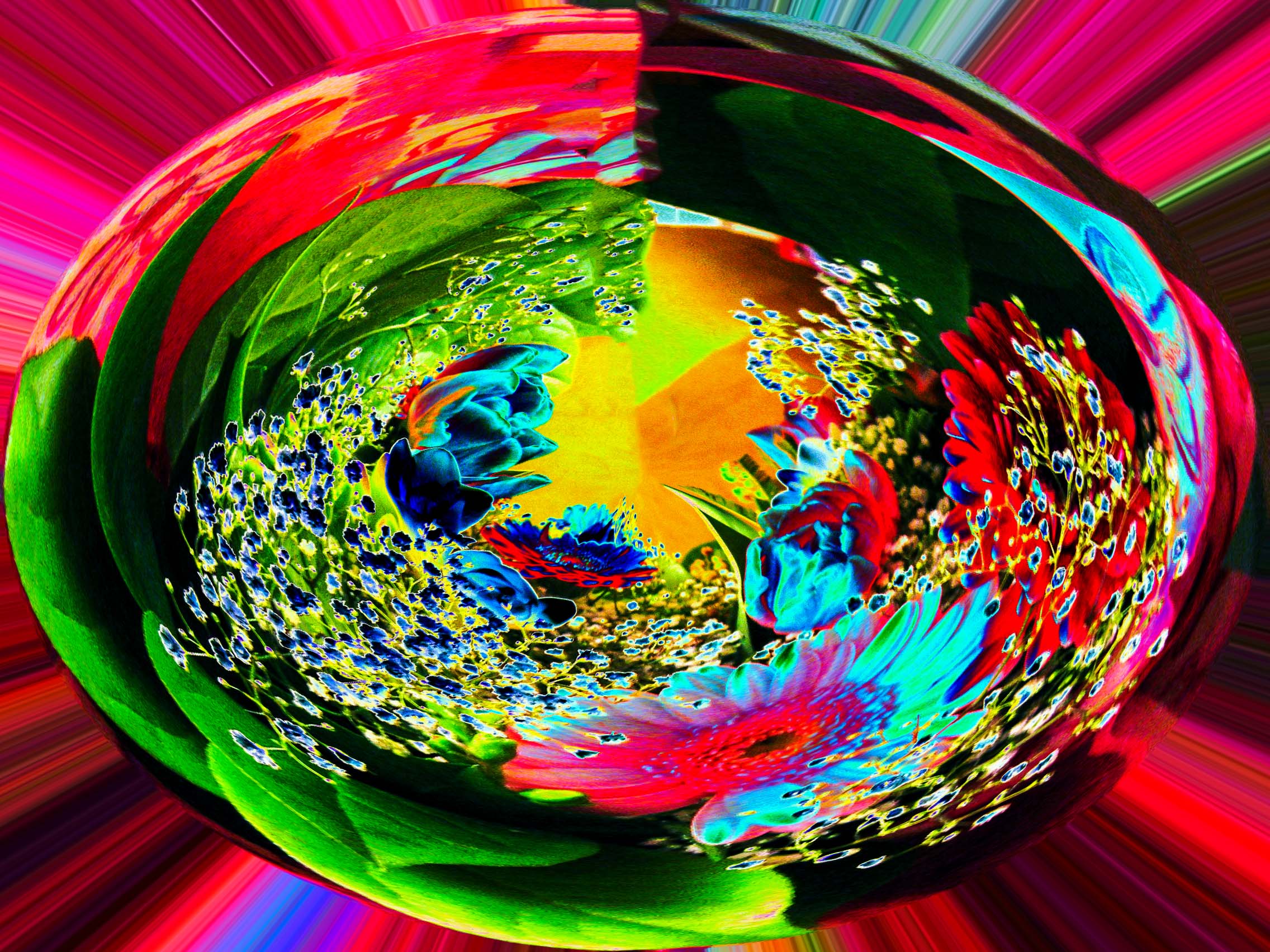 Flowers and Colors 13