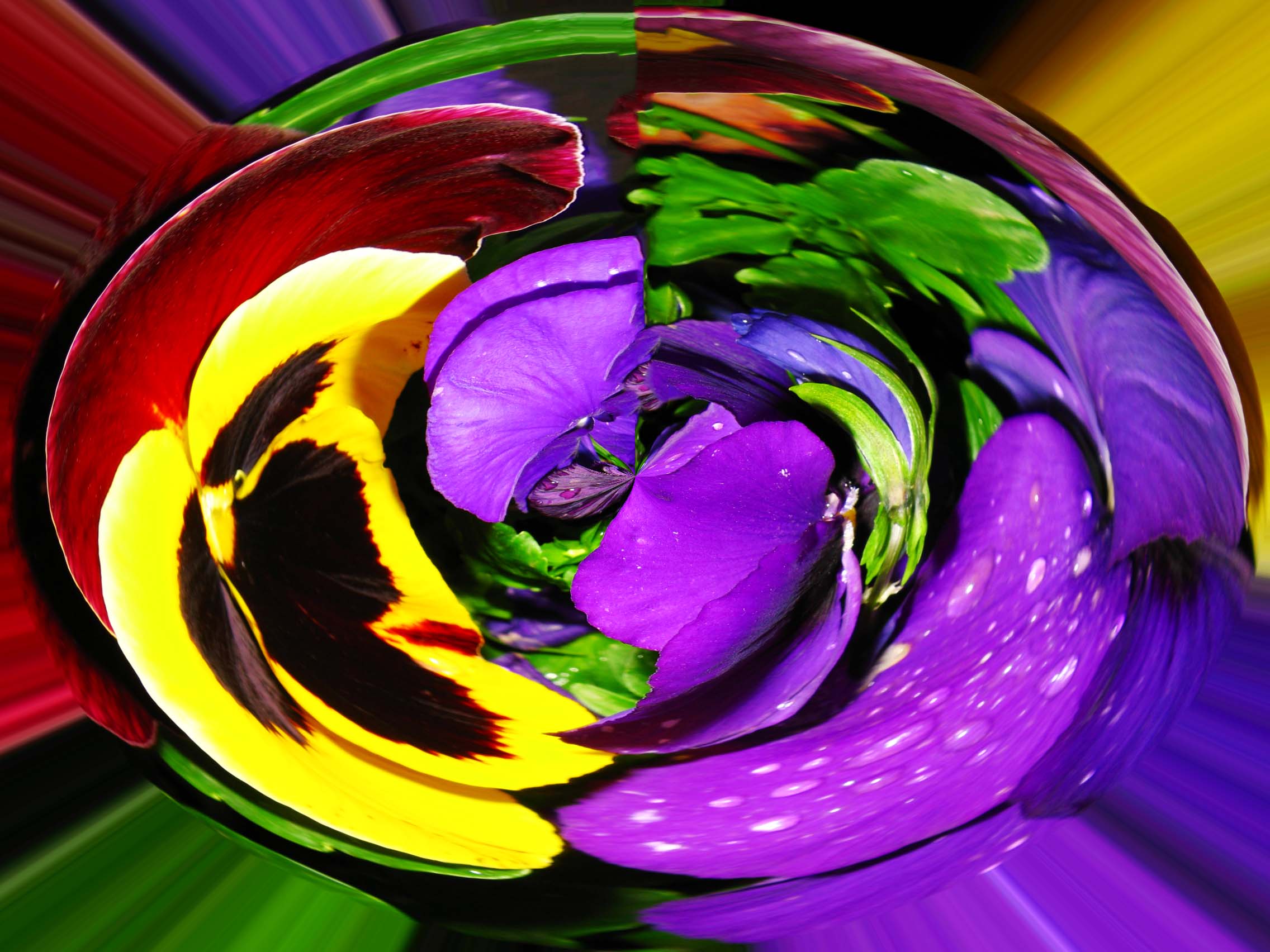 Flowers and Colors 14