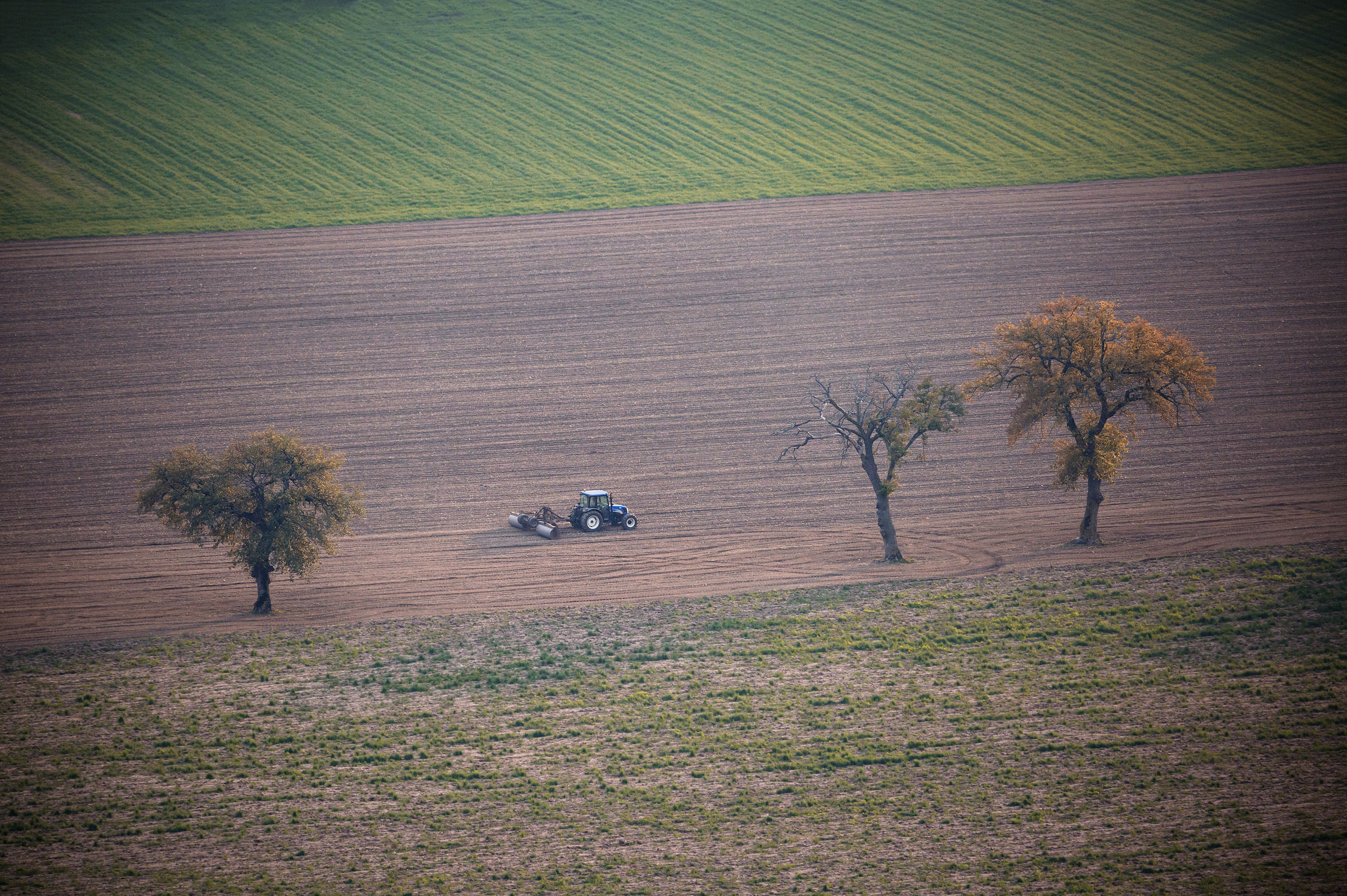Si lavora al tramonto...