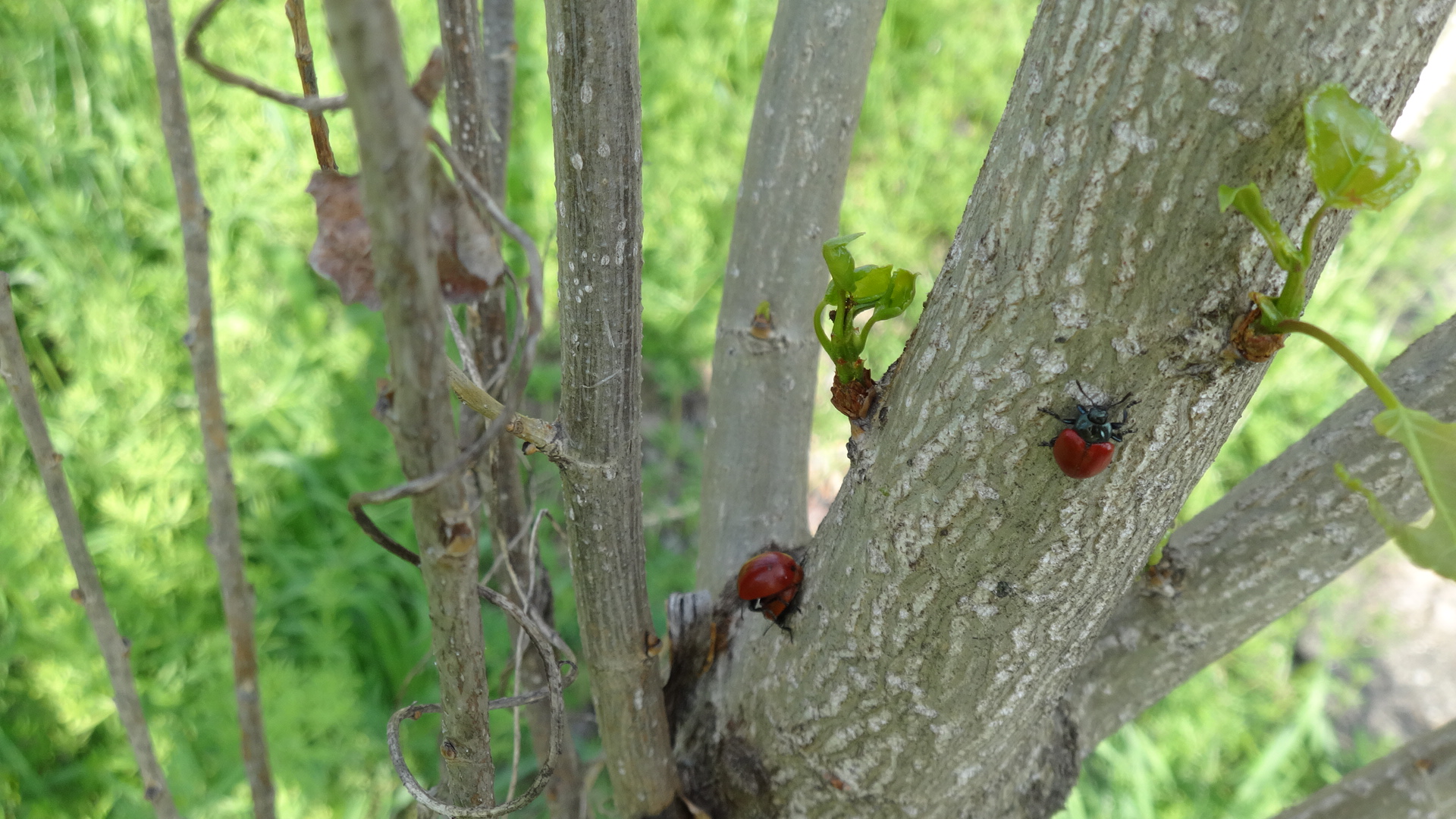 Today I have fun!!!!