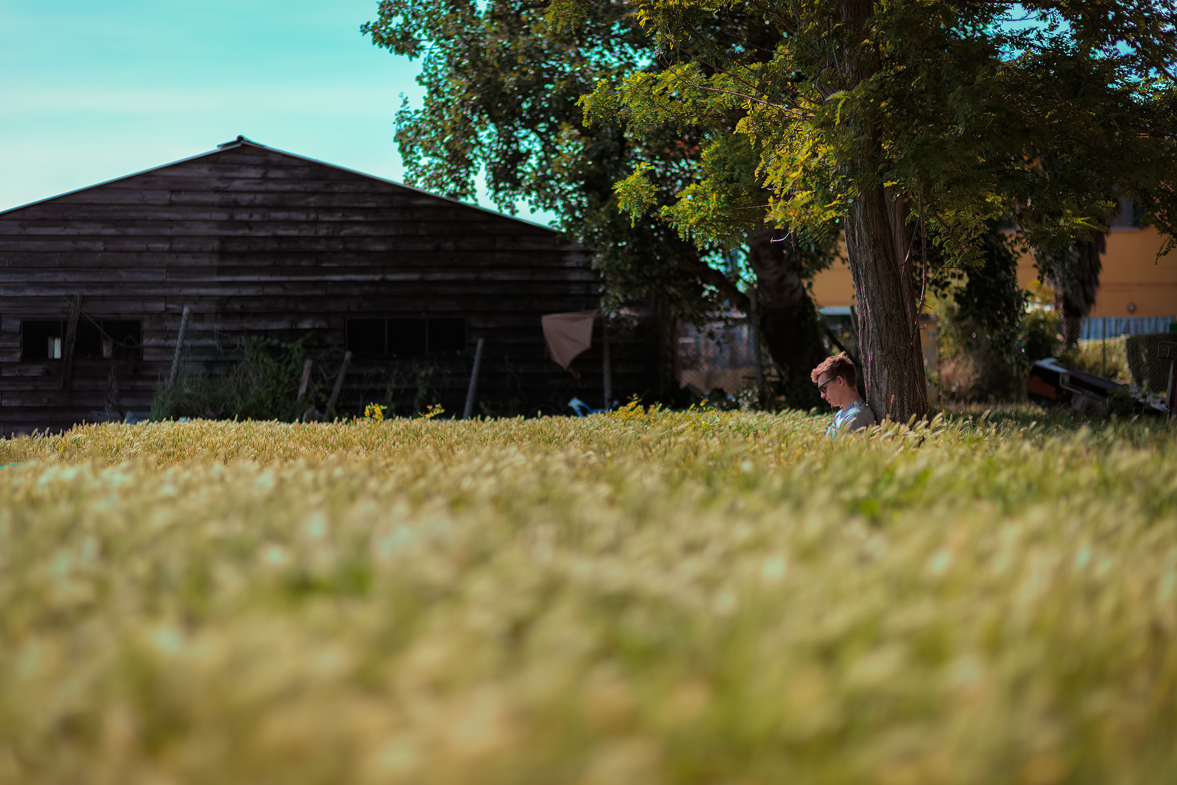 Pensieri a Burano 2.