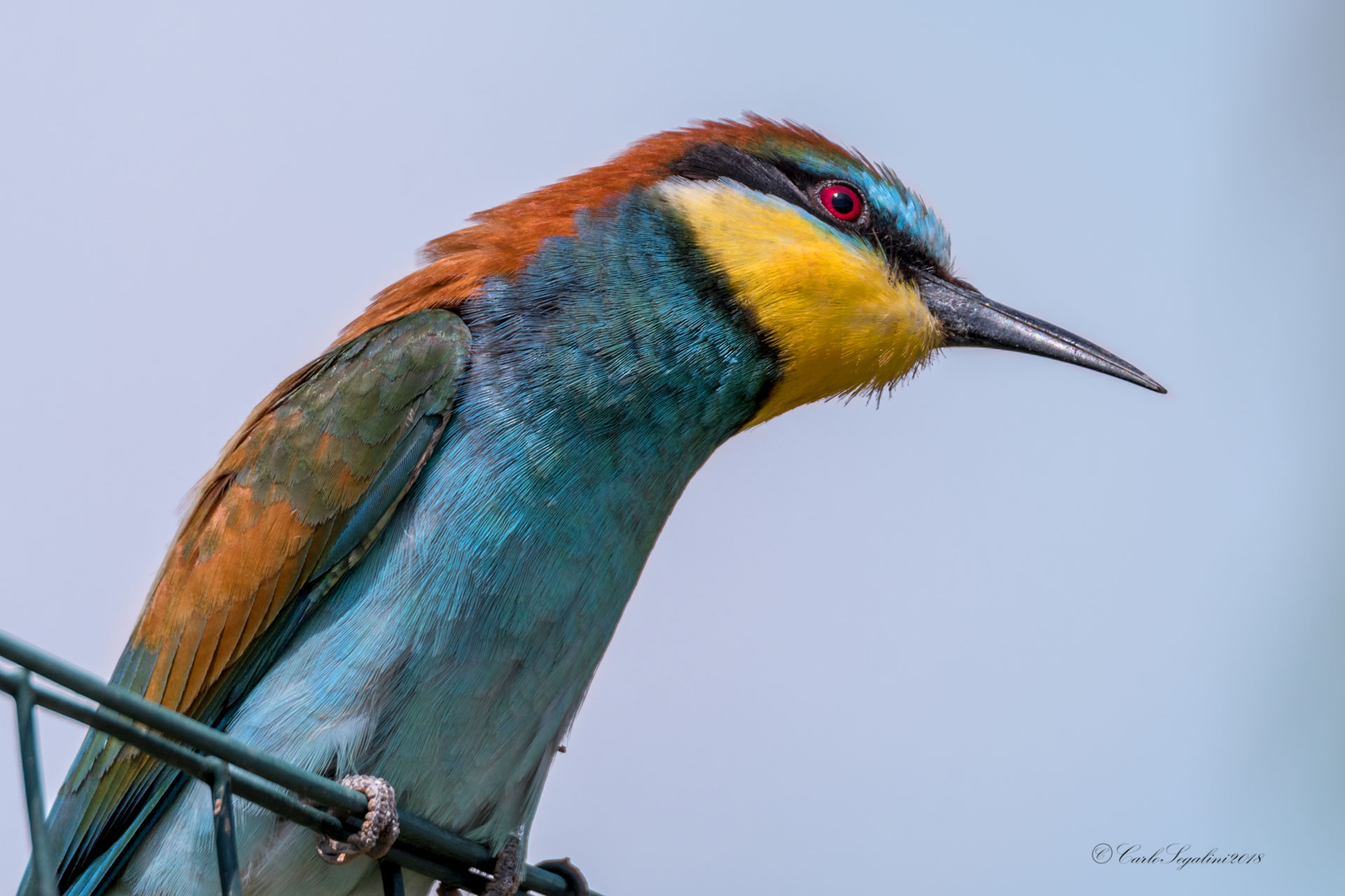 First floor of eater