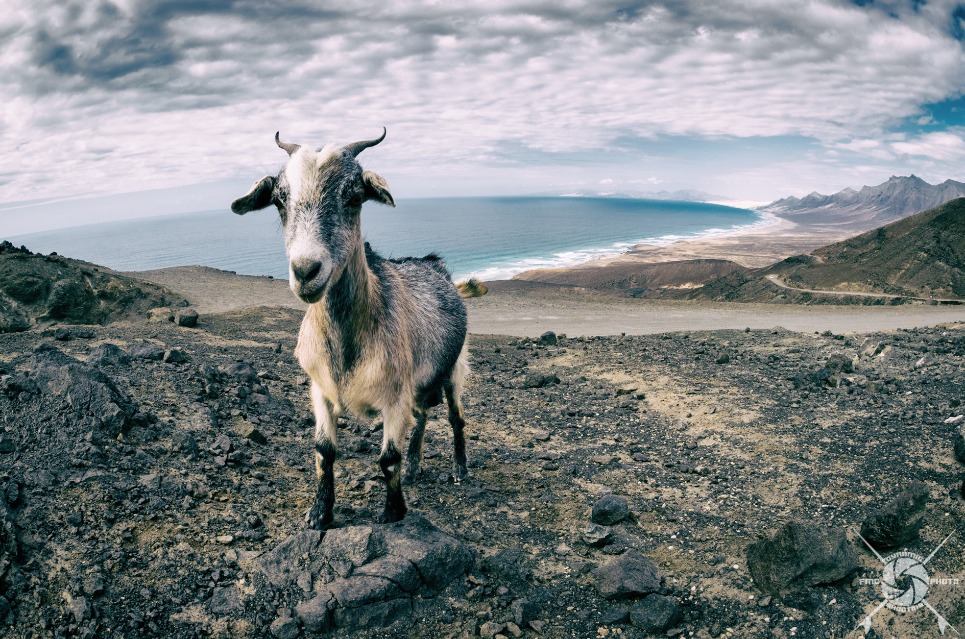 la padrona de Cofete