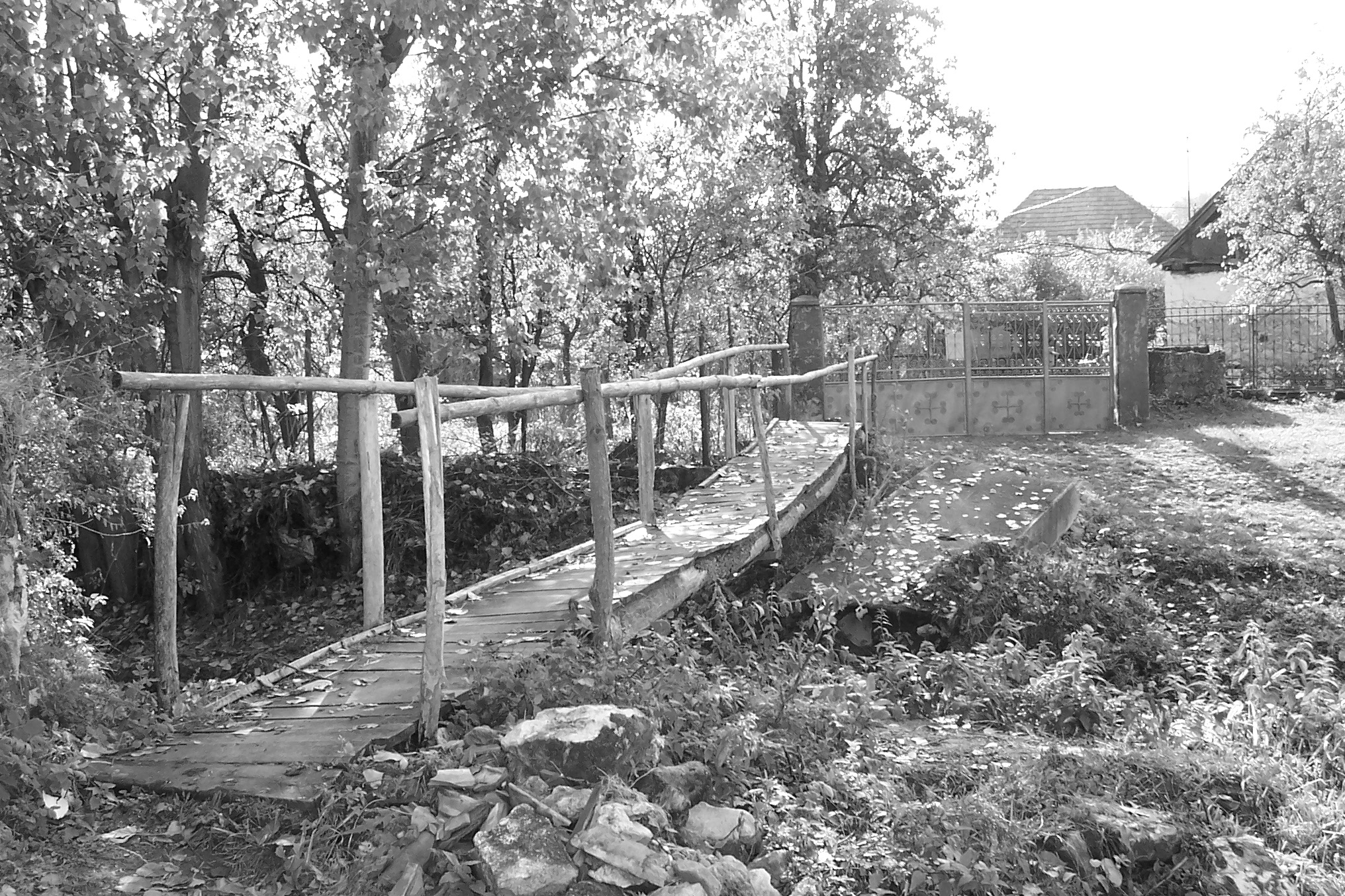 Vecchio ponte Transilvania