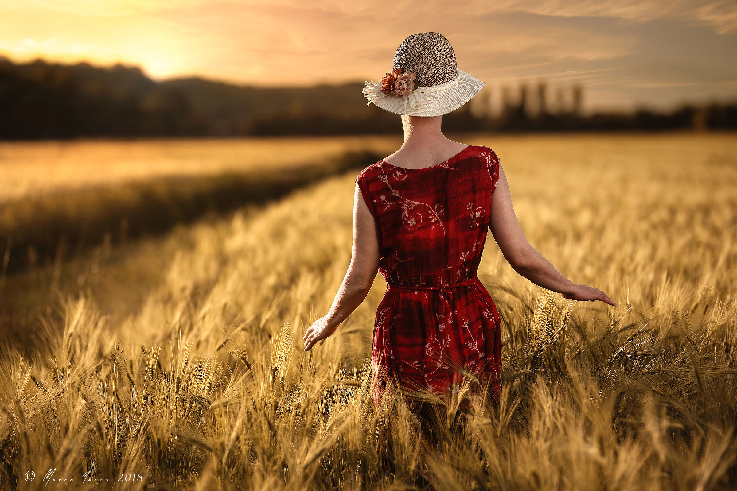 The last kiss of the sun