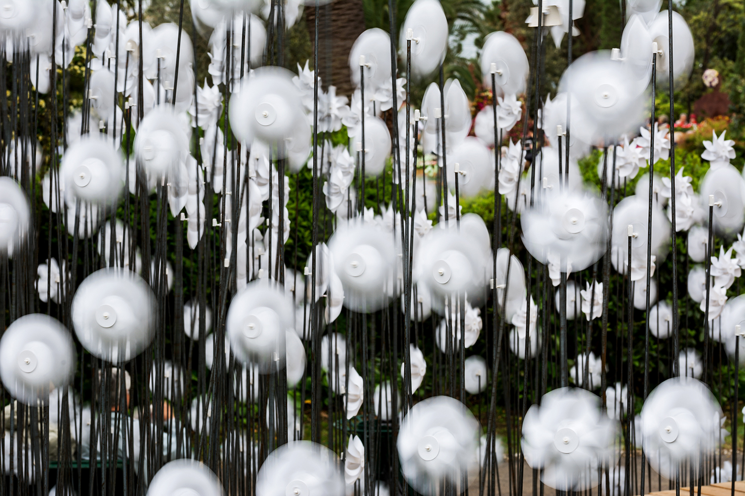 Nel mondo delle girandole