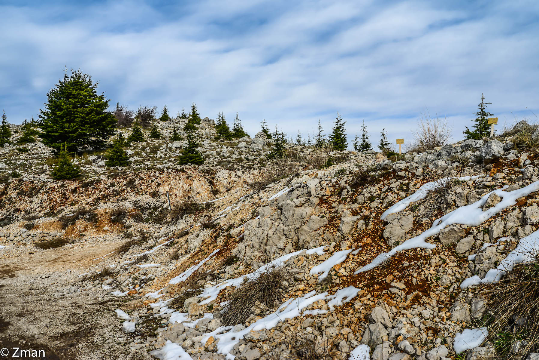 I cedri di al Barouk