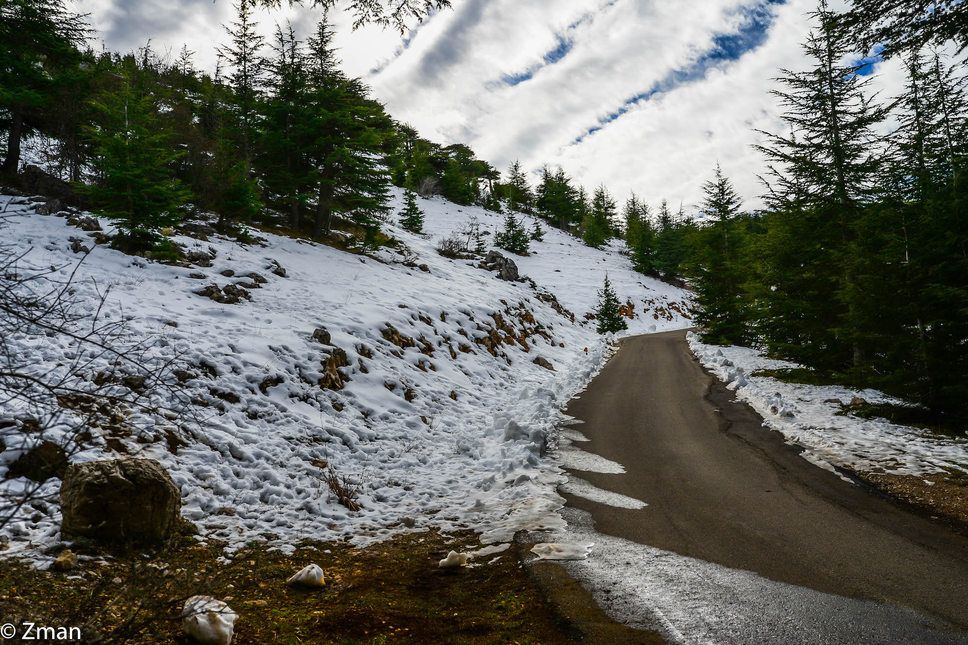 I cedri di al Barouk