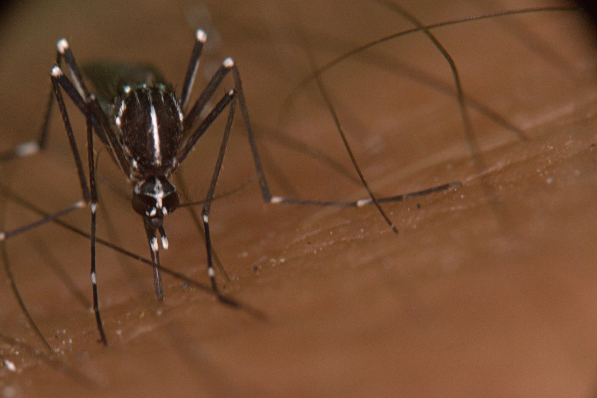 What you need to do for a macro...