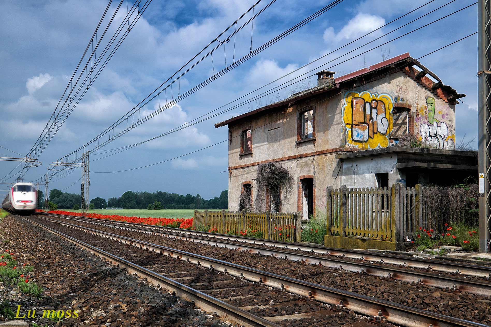 Sfraccia the white arrow.