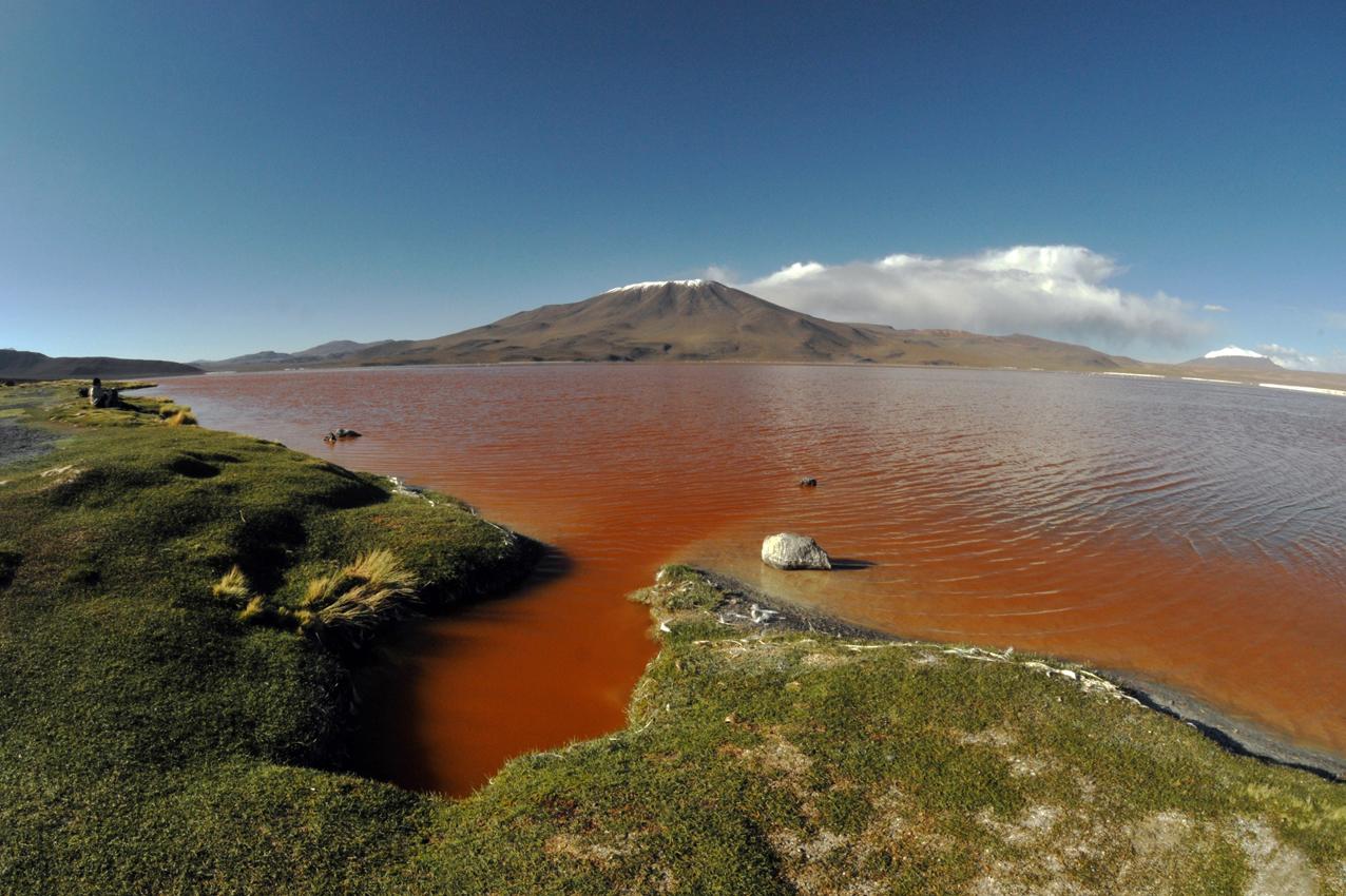 "Laguna Colorada" - 4200m Bolivia