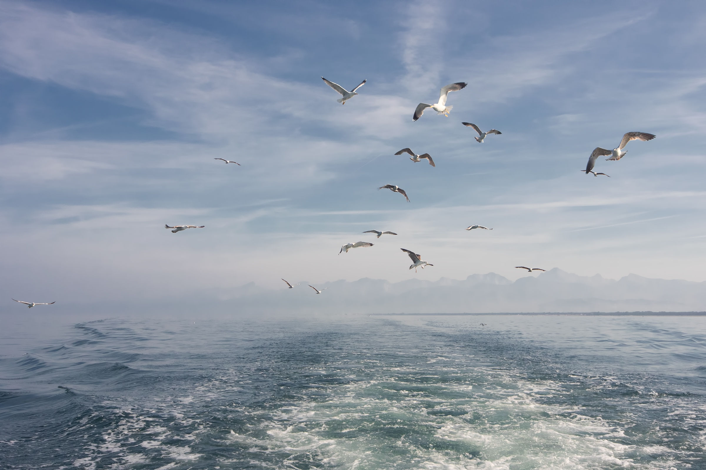 Coastal Trip - Viareggio 2018