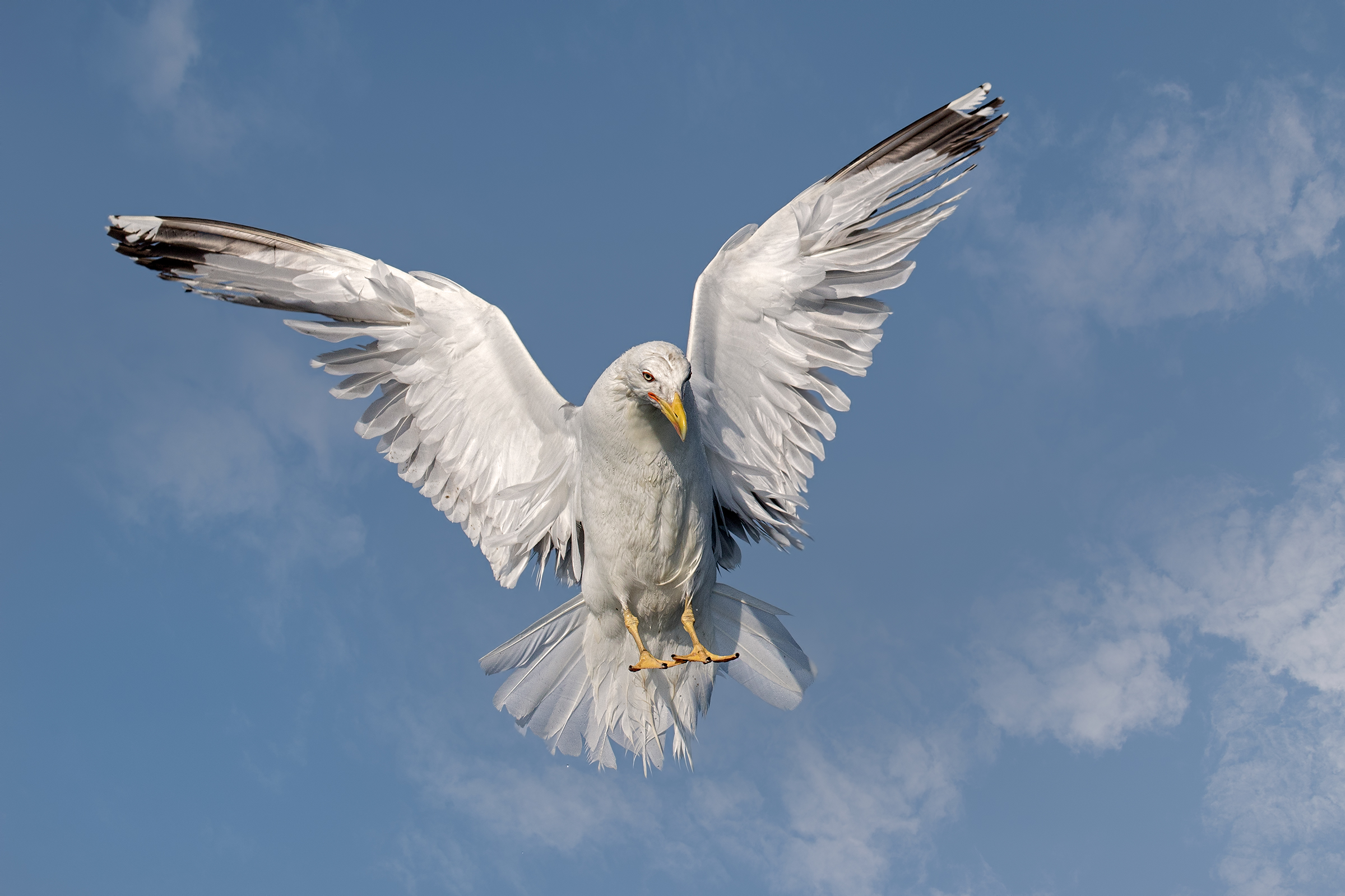 Coastal Trip - Viareggio 2018