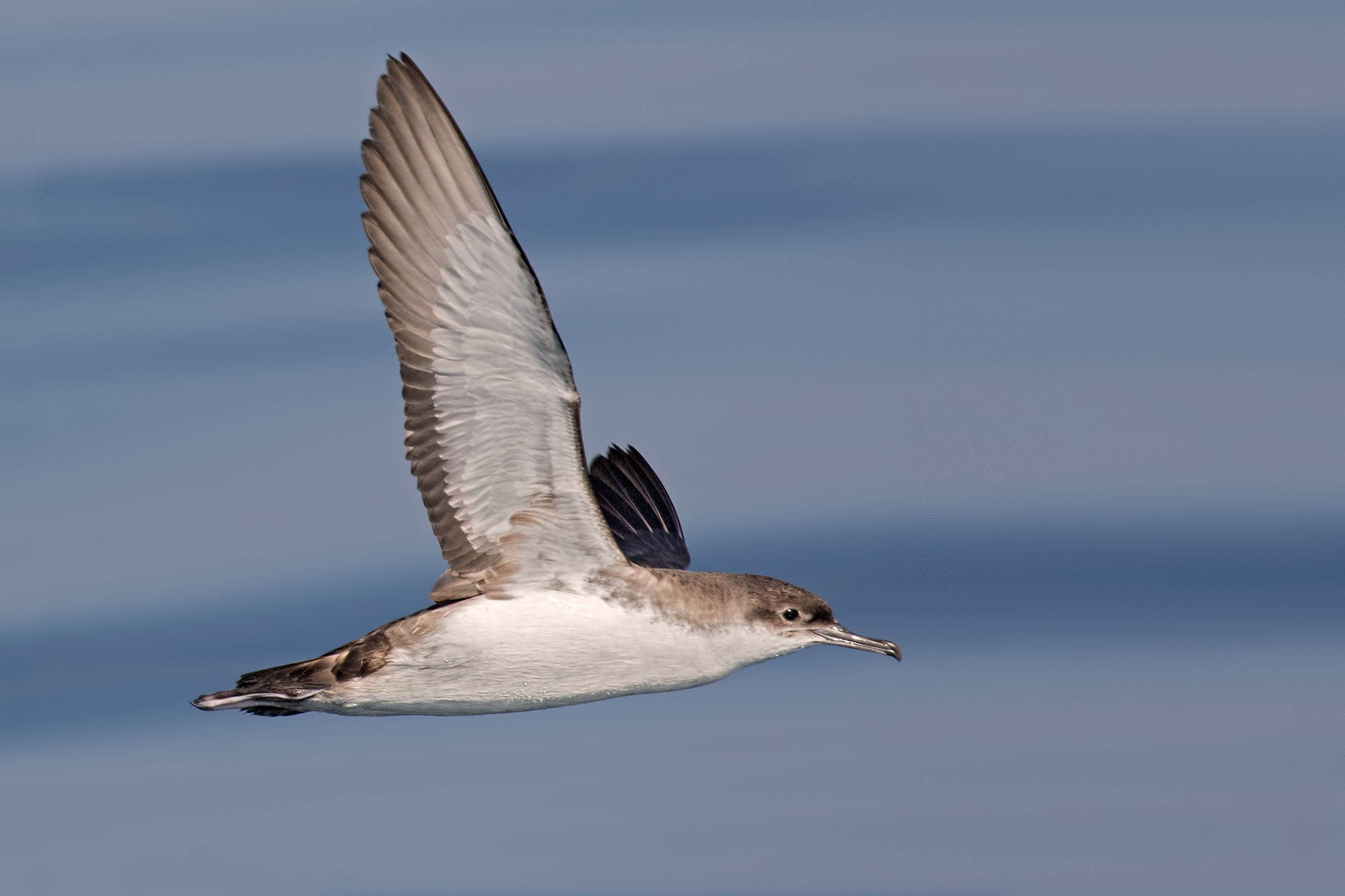 Coastal Trip - Viareggio 2018
