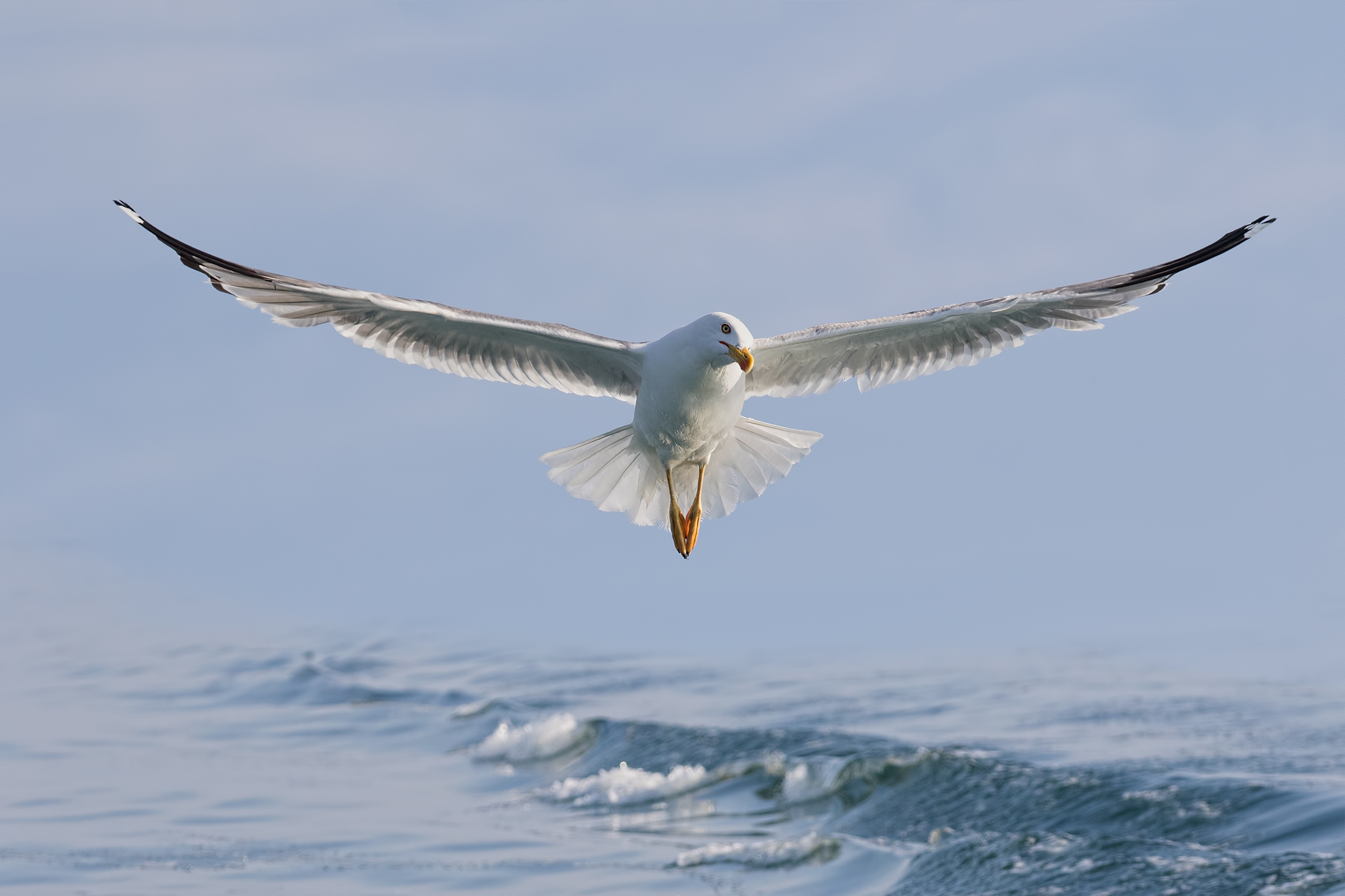 Coastal Trip - Viareggio 2018