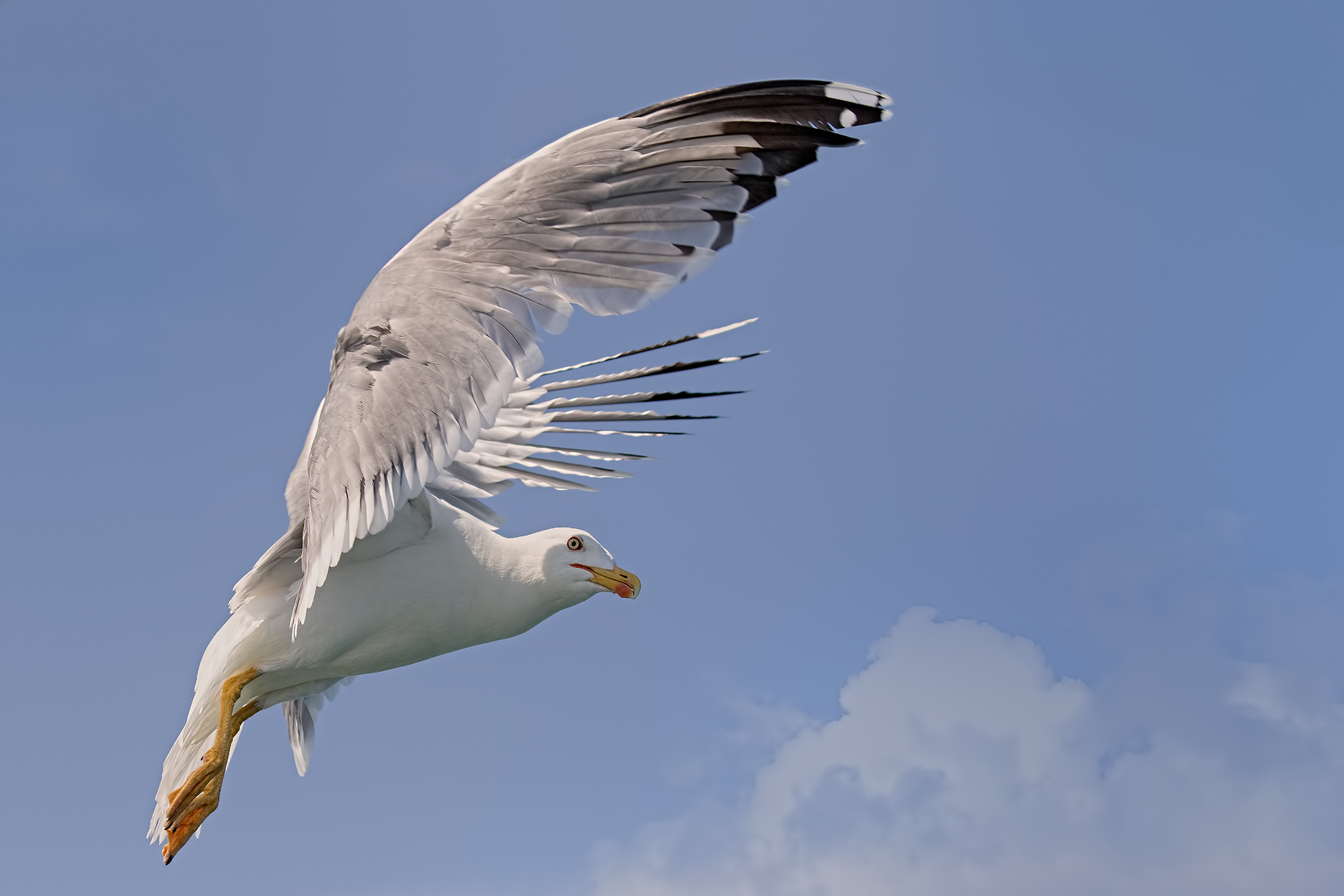 Coastal Trip - Viareggio 2018