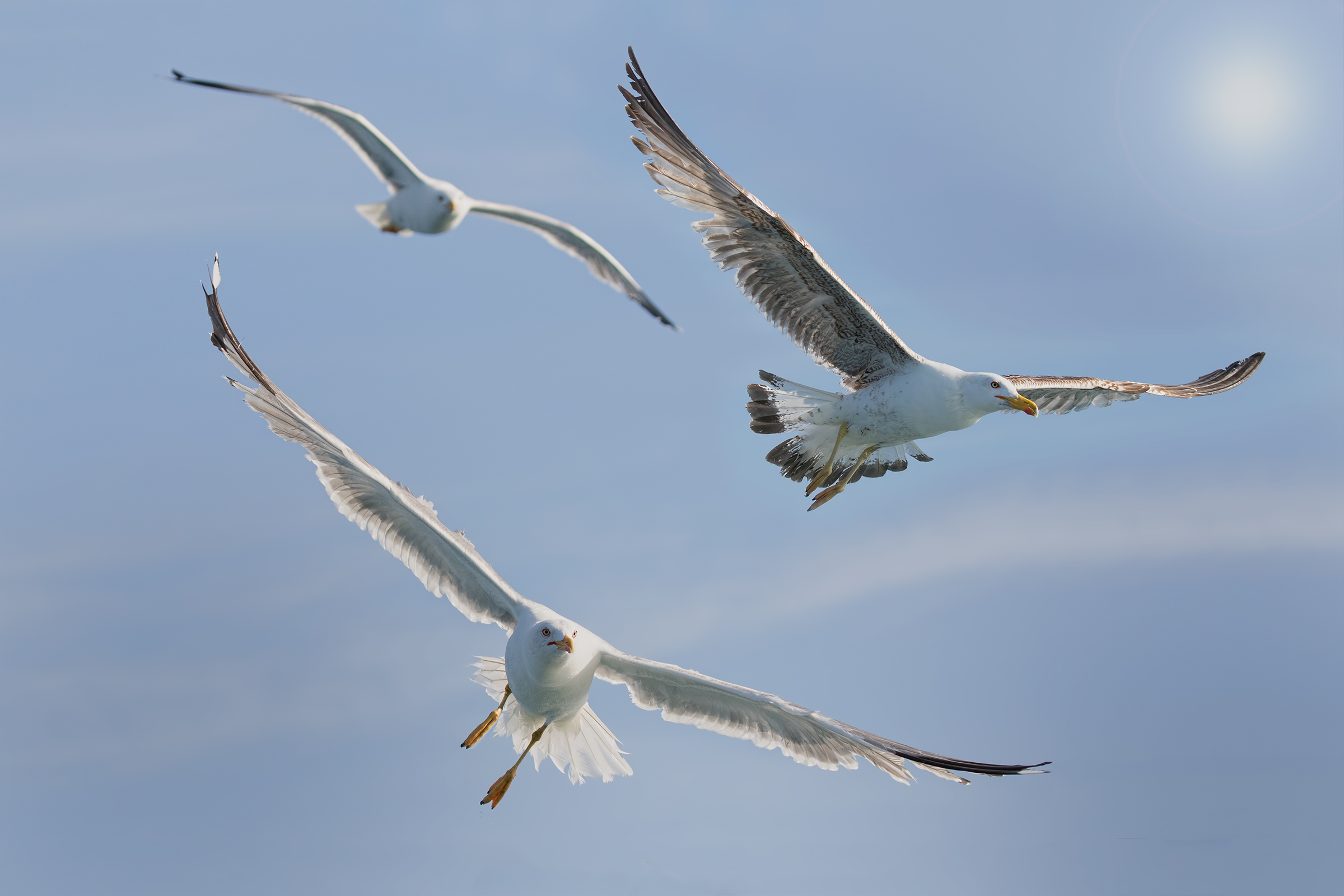 Coastal Trip - Viareggio 2018