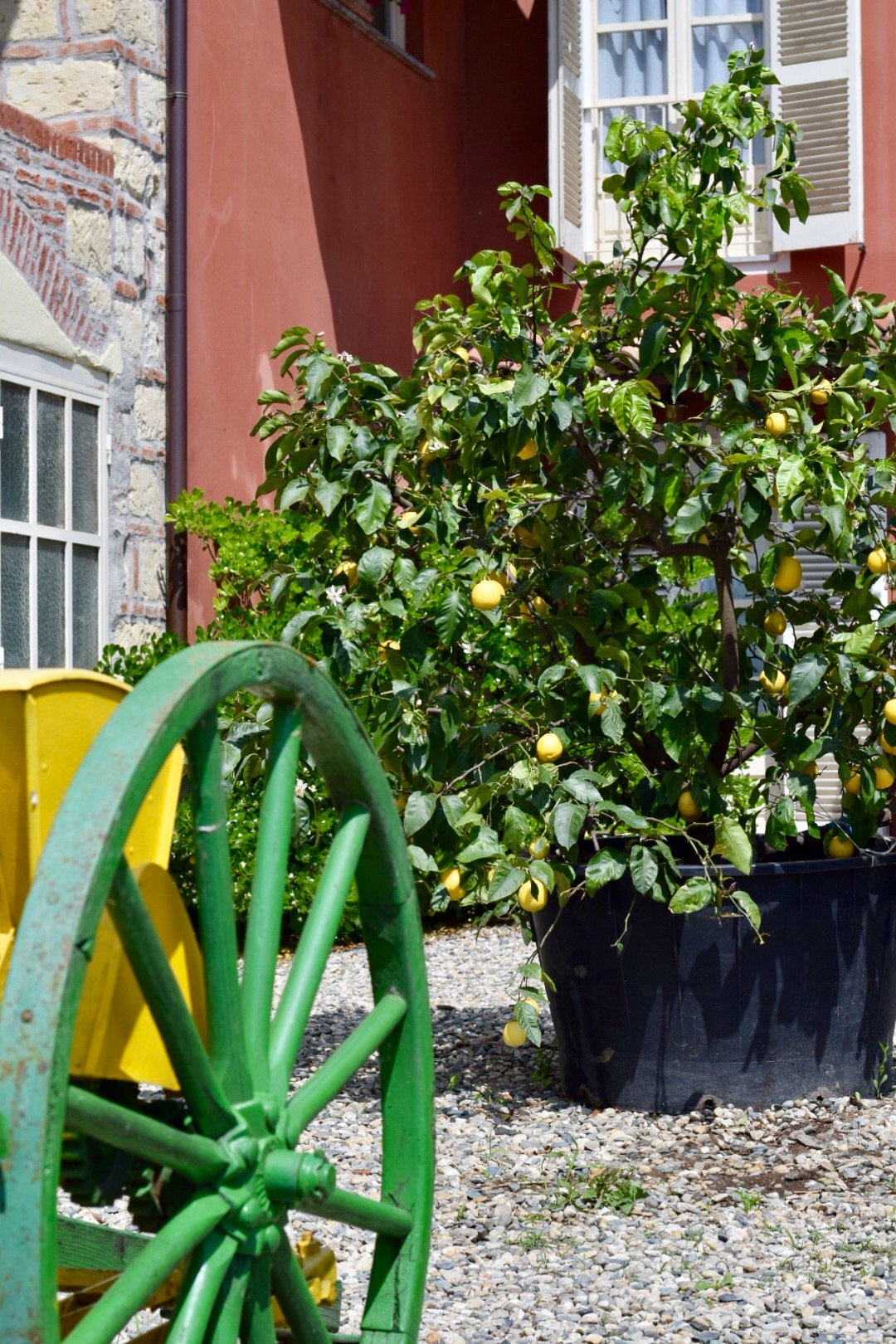 A trip to the countryside