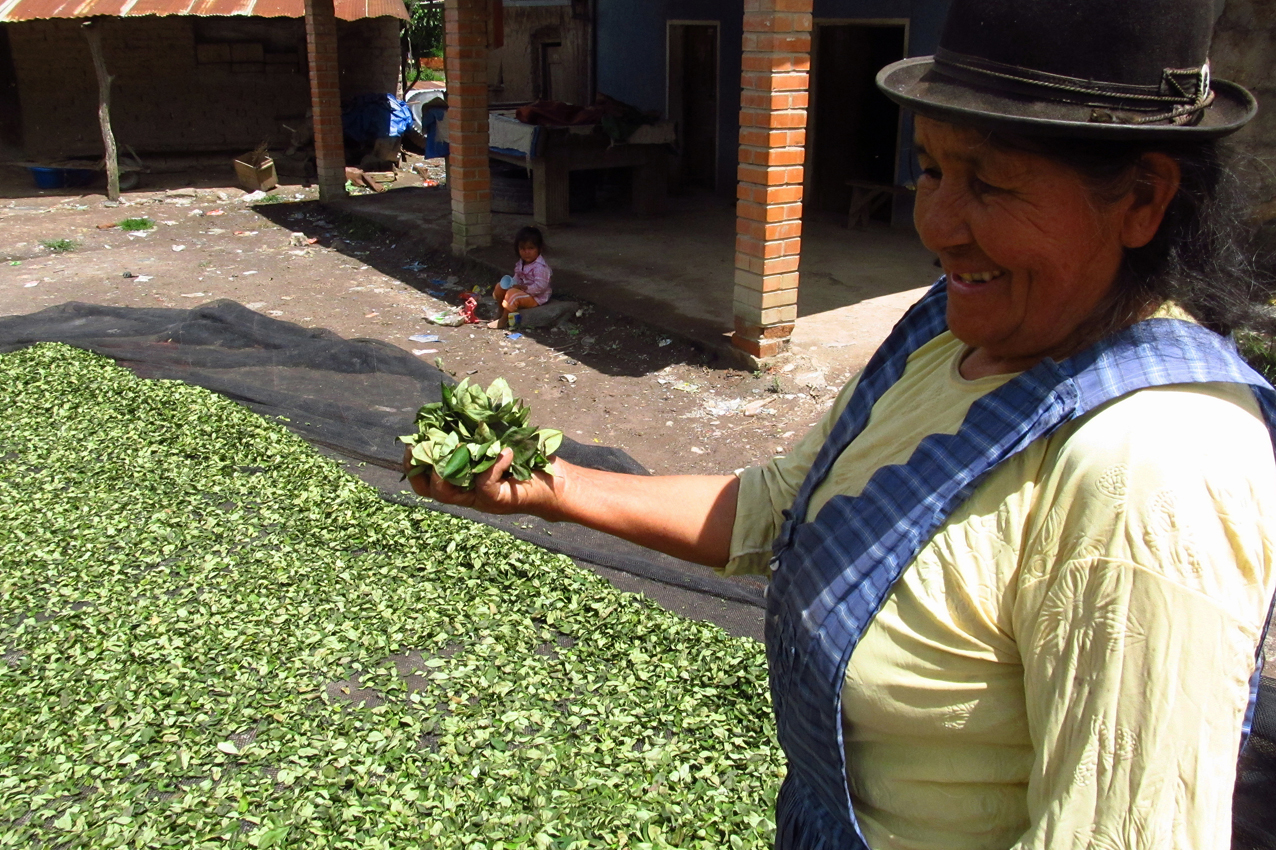 "Hoja de coca" - Cochabamba - Bolivia